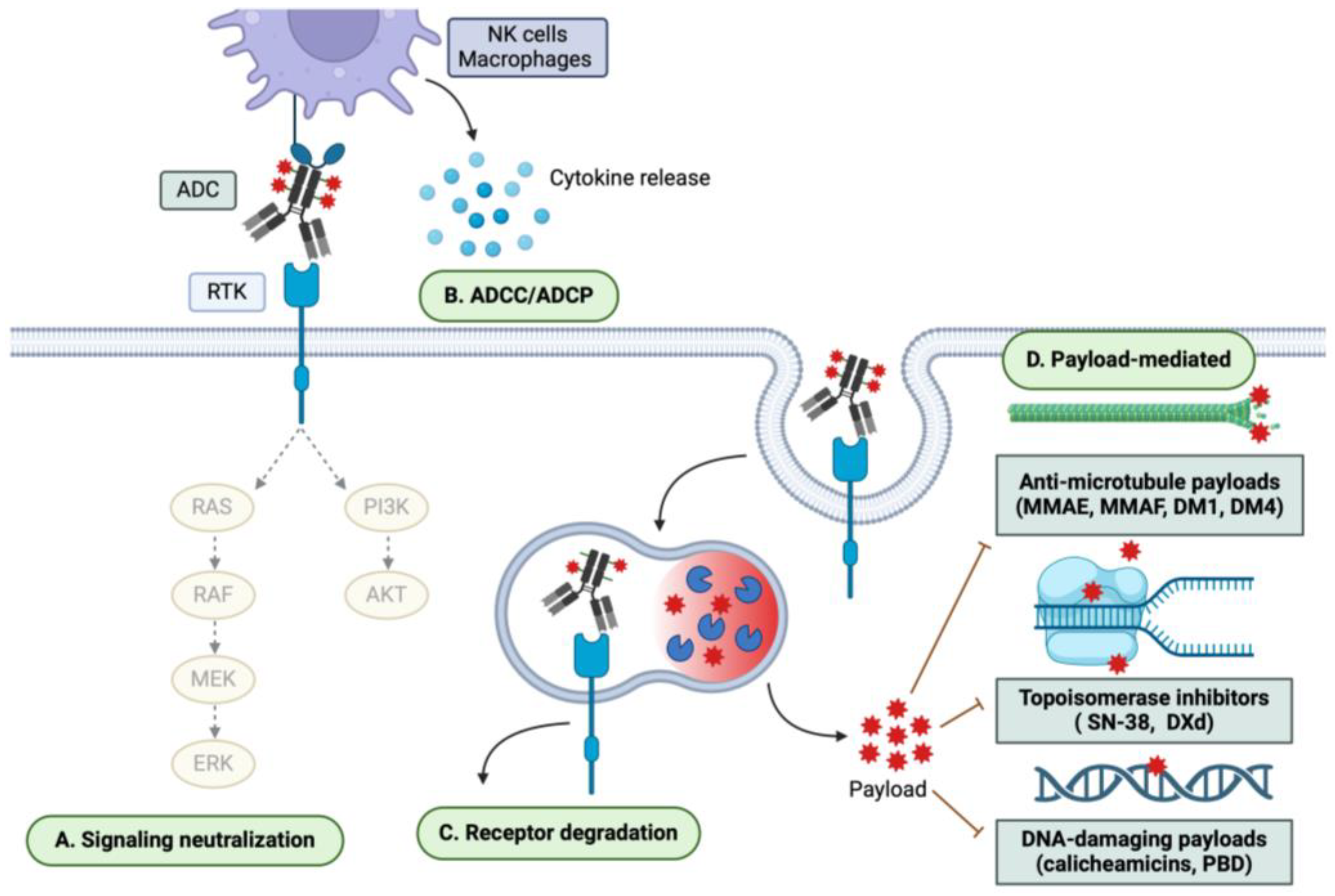 Pharmaceutics 16 00890 g002