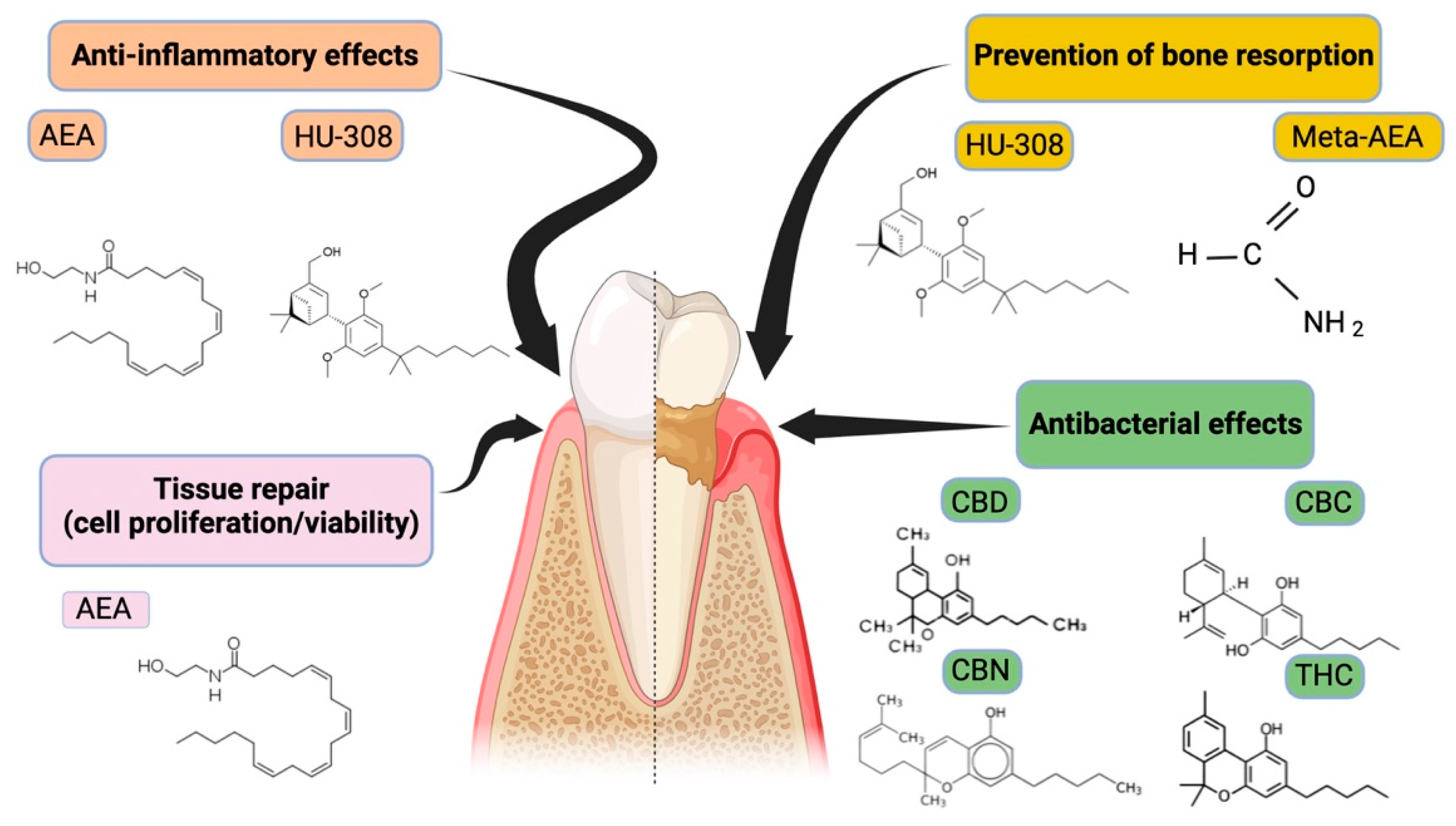 Pharmaceutics 16 00893 g002