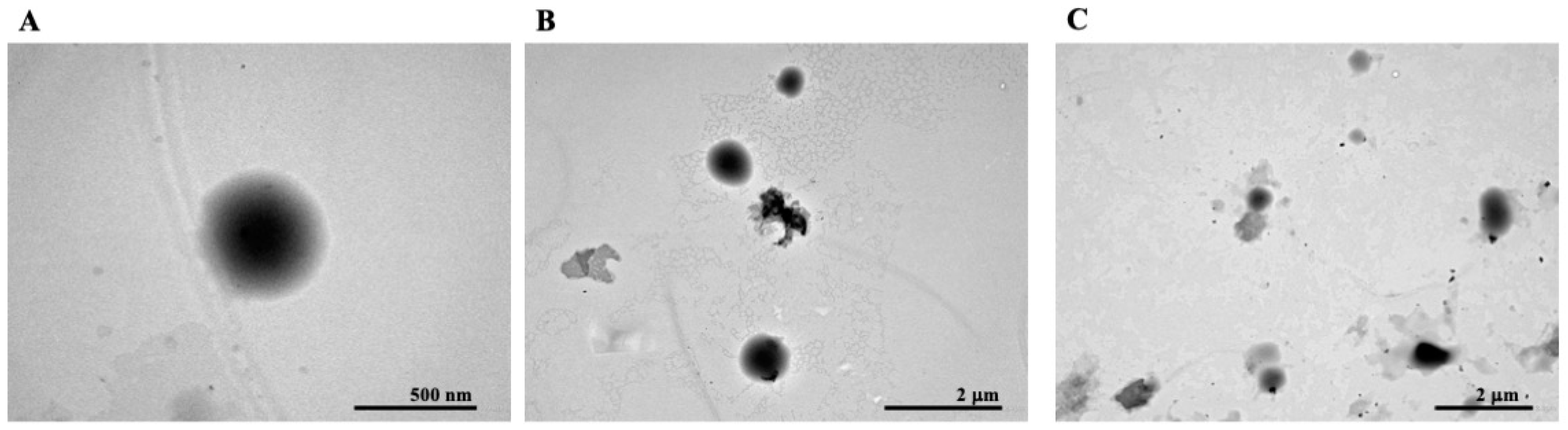 Pharmaceutics 16 00909 g002 Pharmaceutics 16 00909 g002