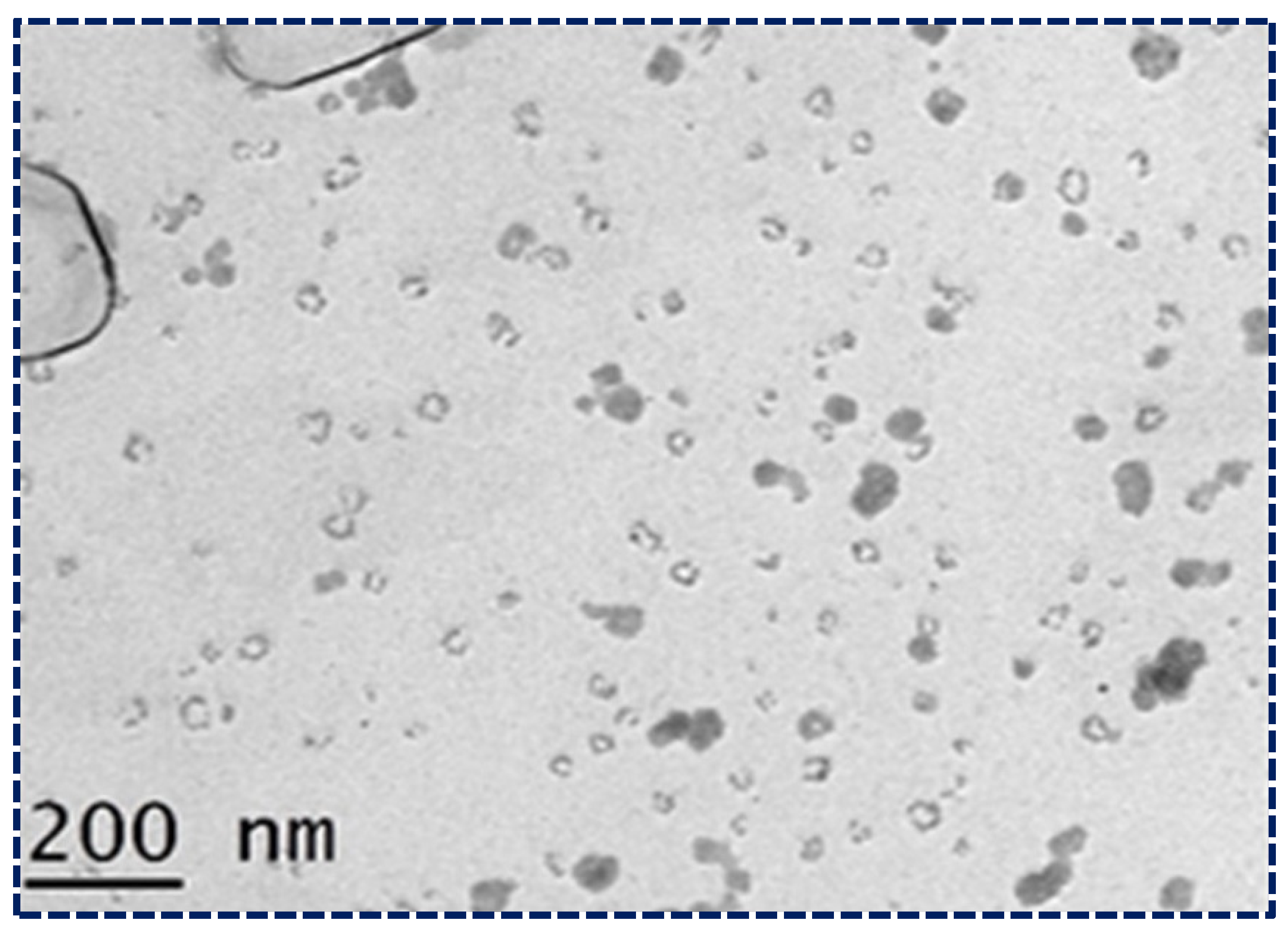 Pharmaceutics 16 00910 g004
