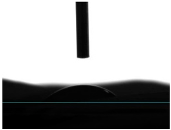 Pharmaceutics 16 00911 i002 Pharmaceutics 16 00911 i002