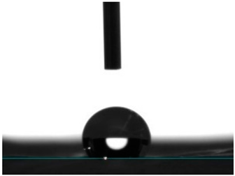 Pharmaceutics 16 00911 i004 Pharmaceutics 16 00911 i004