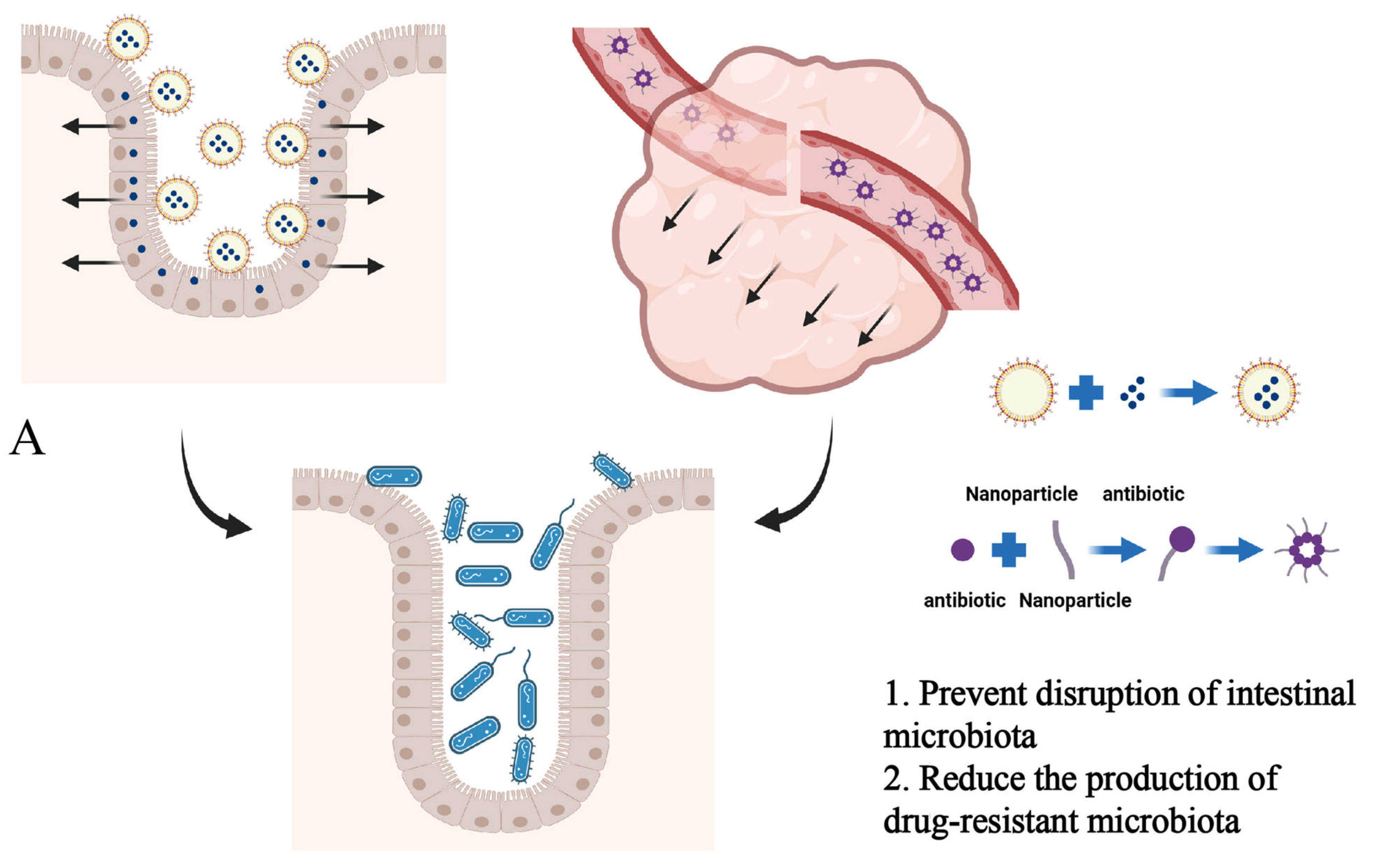 Pharmaceutics 16 00921 g005a Pharmaceutics 16 00921 g005a