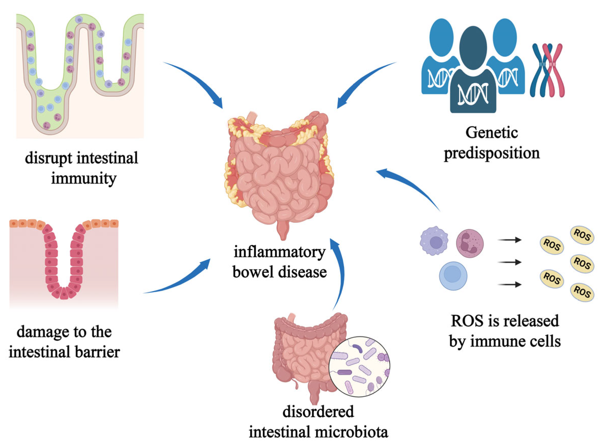 Pharmaceutics 16 00921 g008 Pharmaceutics 16 00921 g008