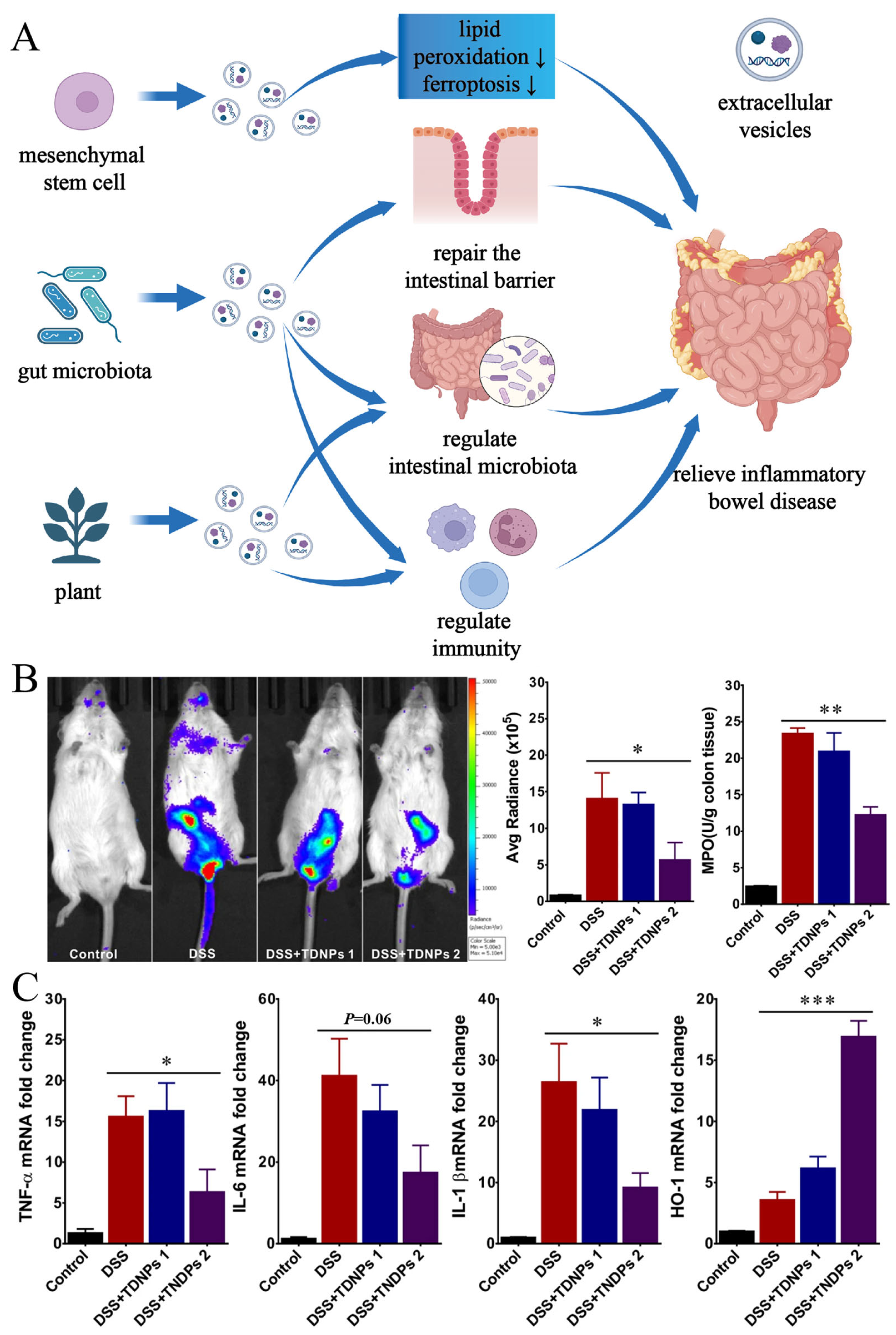 Pharmaceutics 16 00921 g009 Pharmaceutics 16 00921 g009