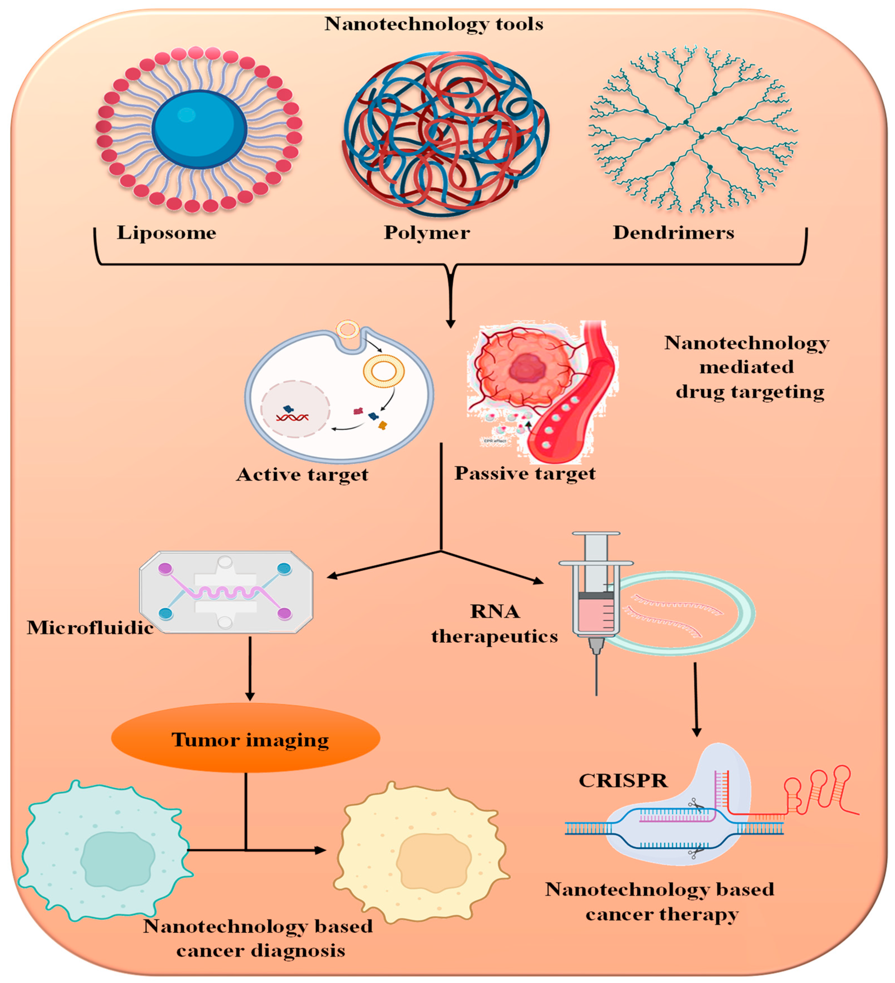 Pharmaceutics 16 00923 g002 Pharmaceutics 16 00923 g002