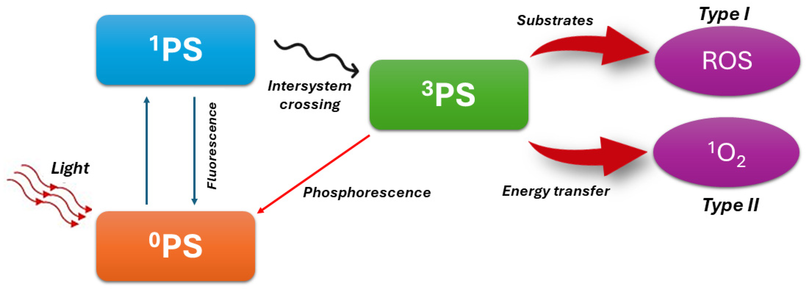 Pharmaceutics 16 00932 g001 Pharmaceutics 16 00932 g001