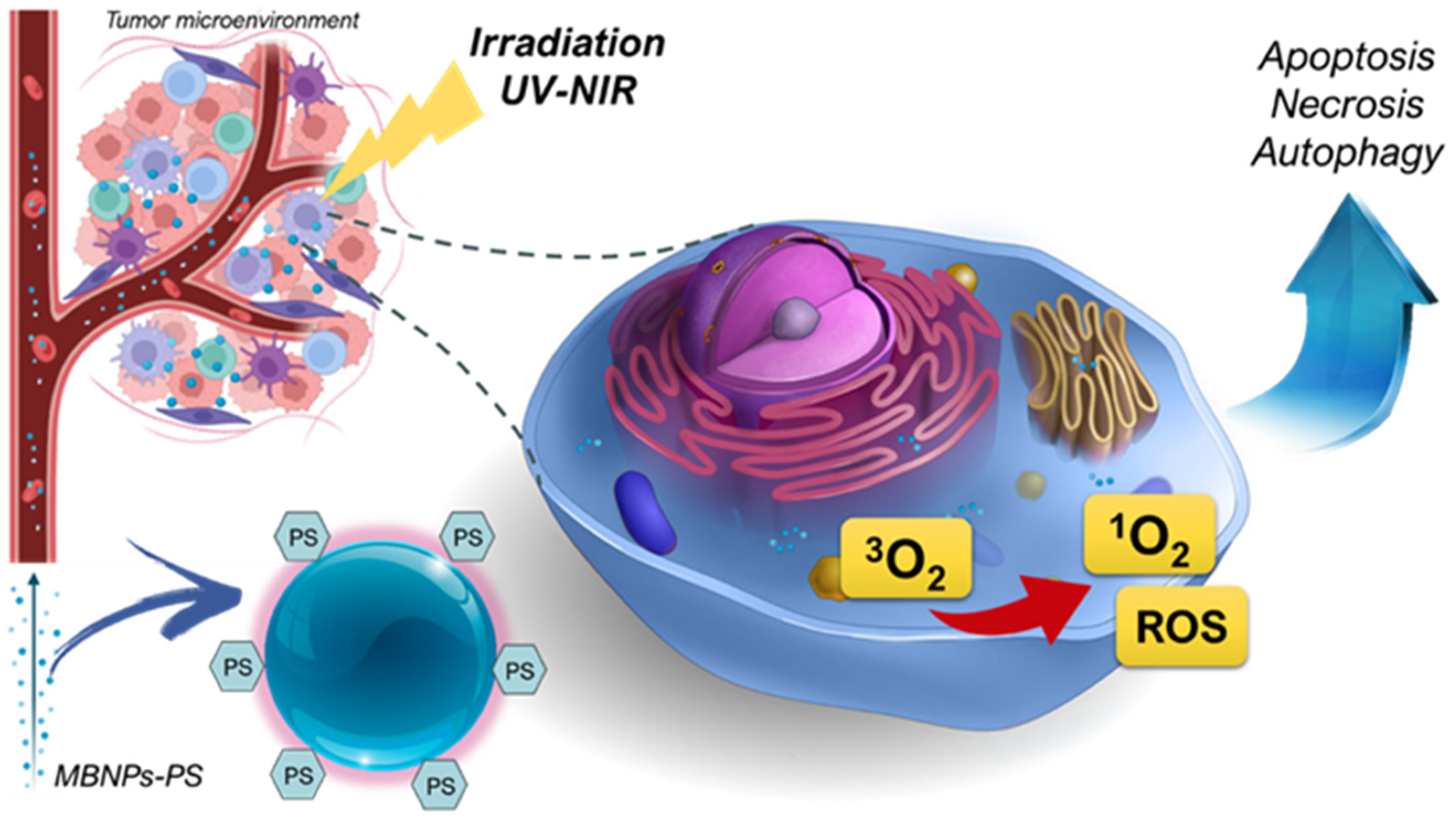 Pharmaceutics 16 00932 g003 Pharmaceutics 16 00932 g003
