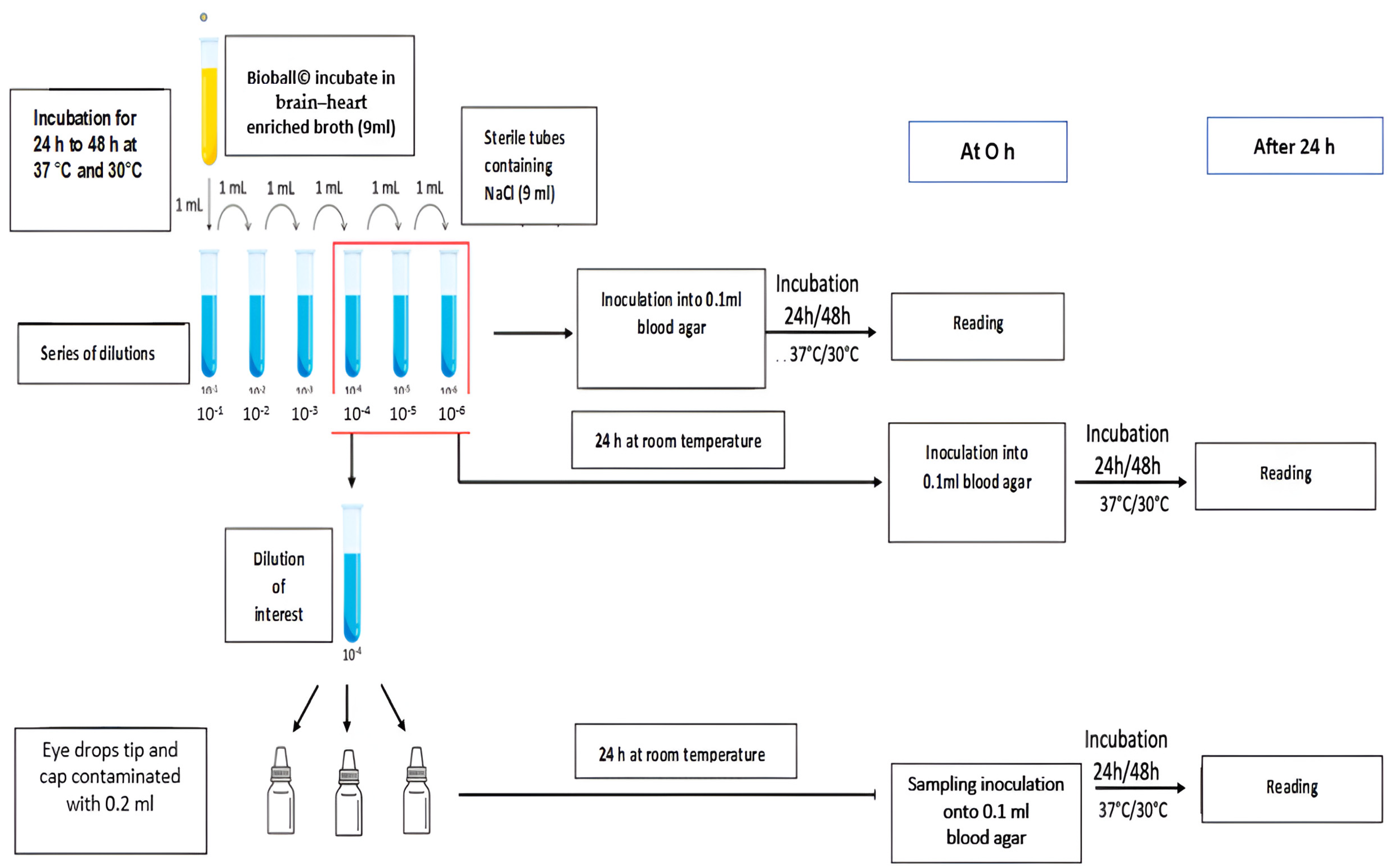 Pharmaceutics 16 00933 g002