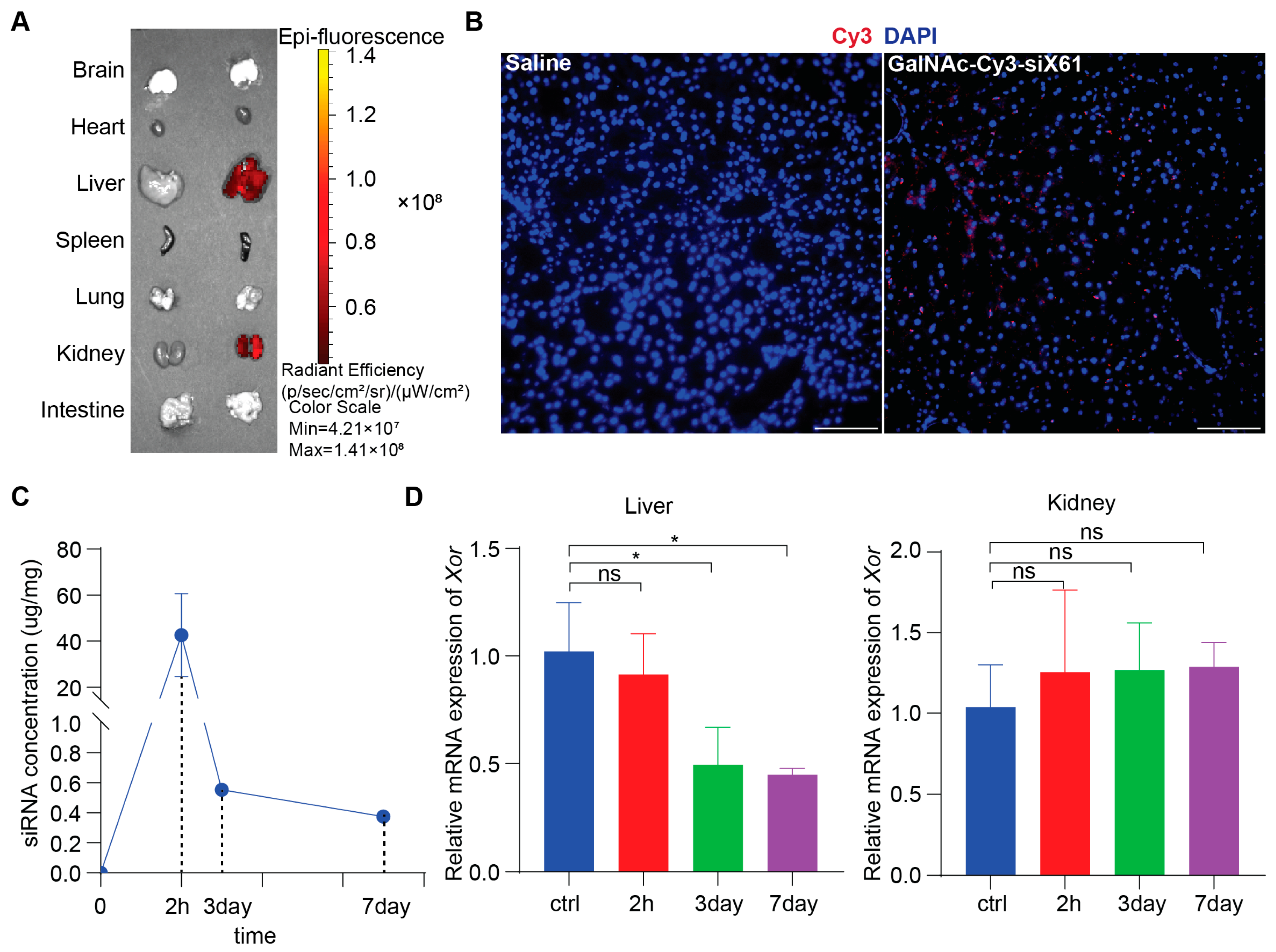 Pharmaceutics 16 00938 g004