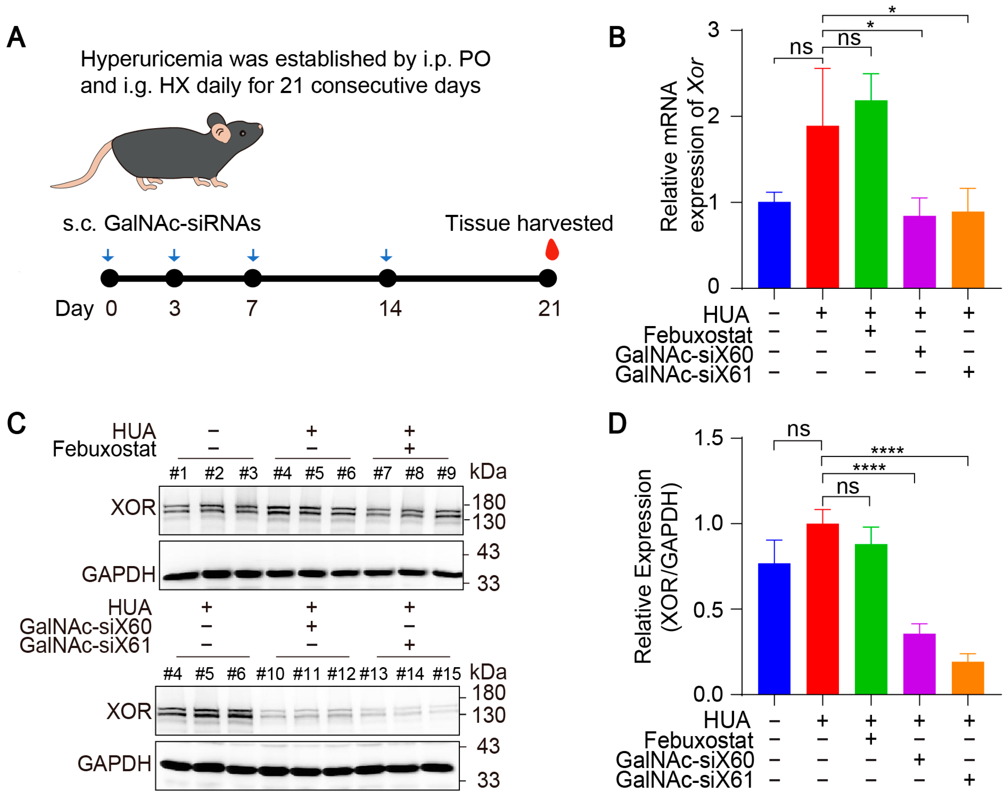 Pharmaceutics 16 00938 g005