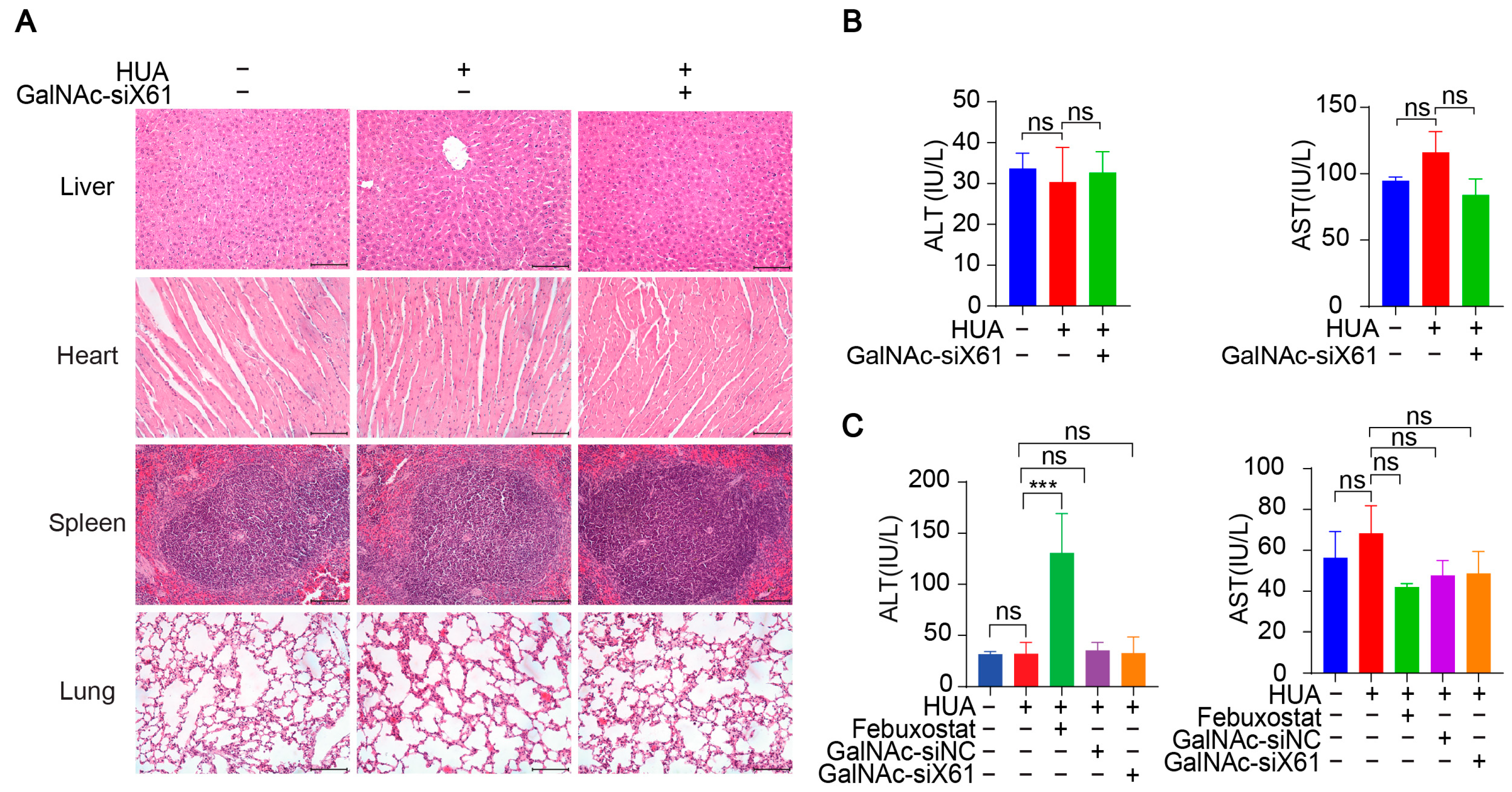 Pharmaceutics 16 00938 g011