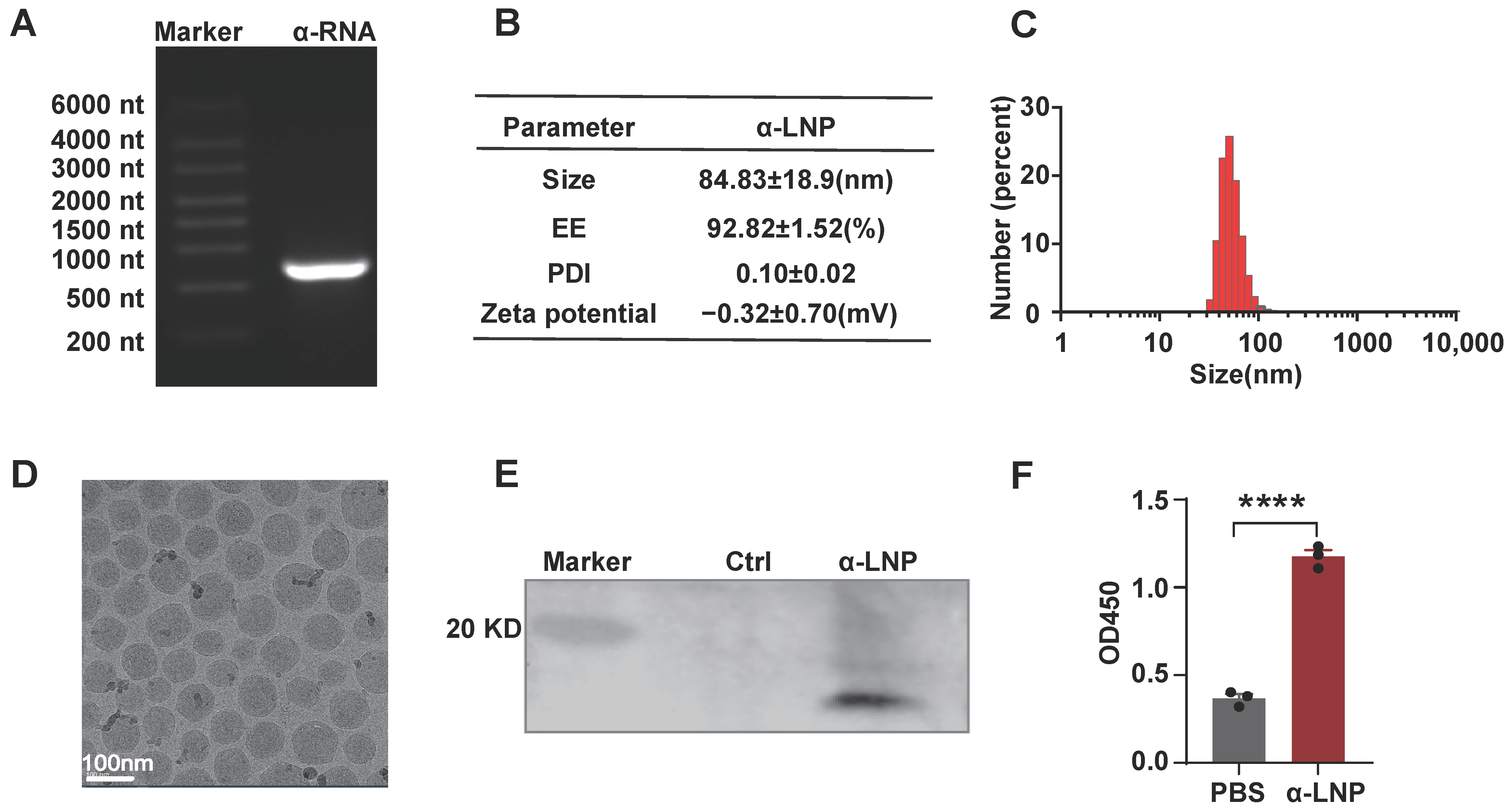 Pharmaceutics 16 00940 g001