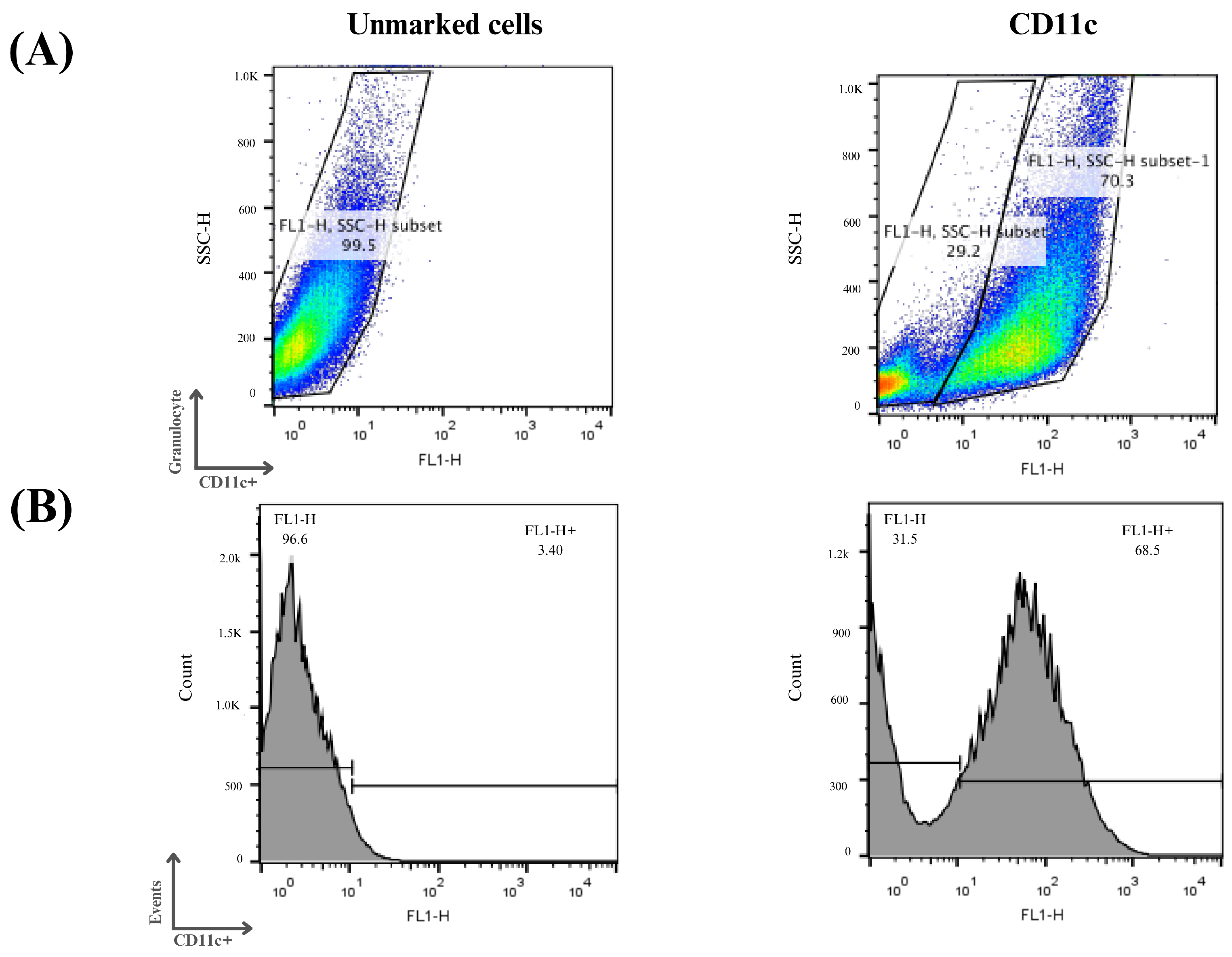Pharmaceutics 16 00941 g007