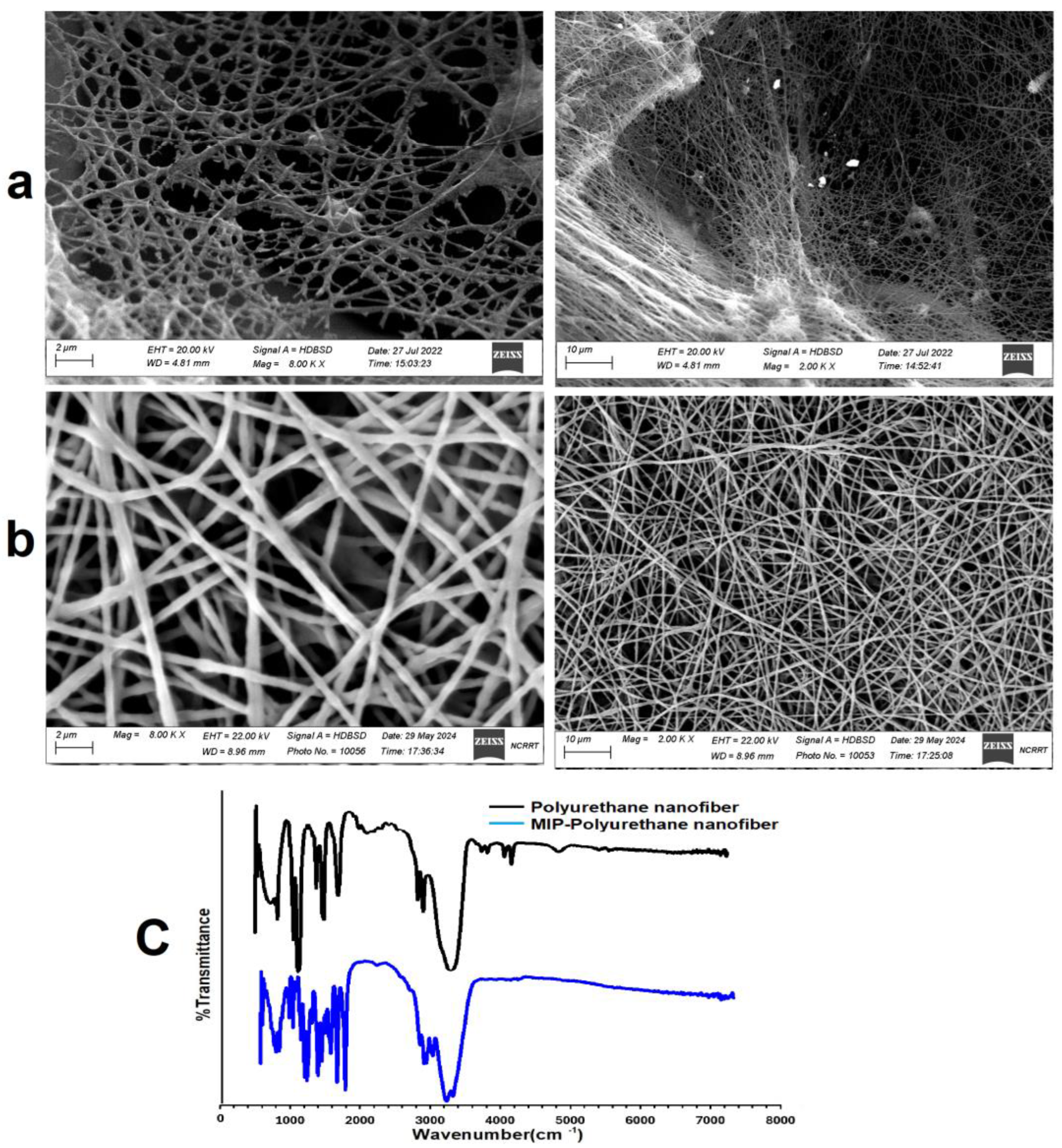 Pharmaceutics 16 00947 g002