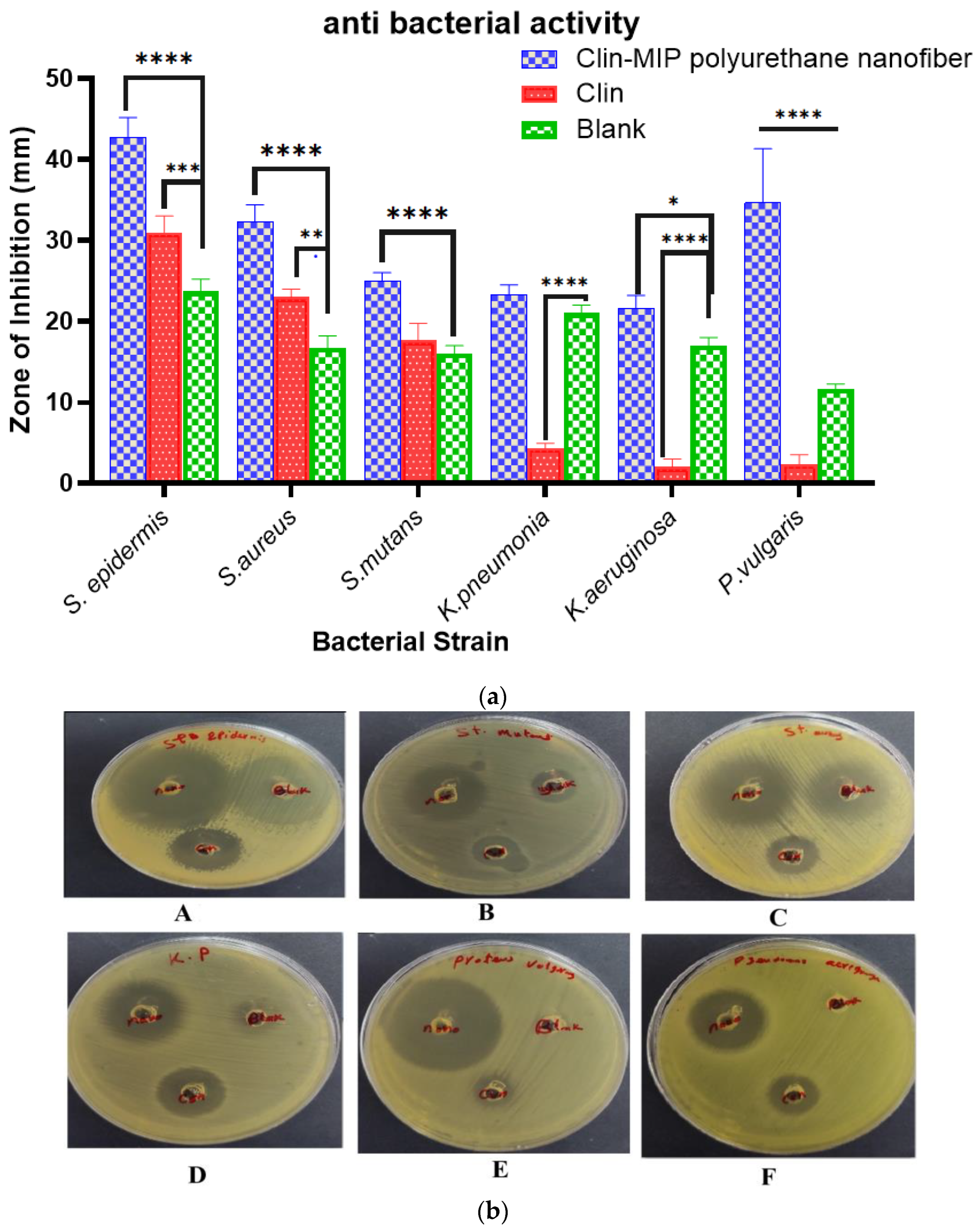 Pharmaceutics 16 00947 g006