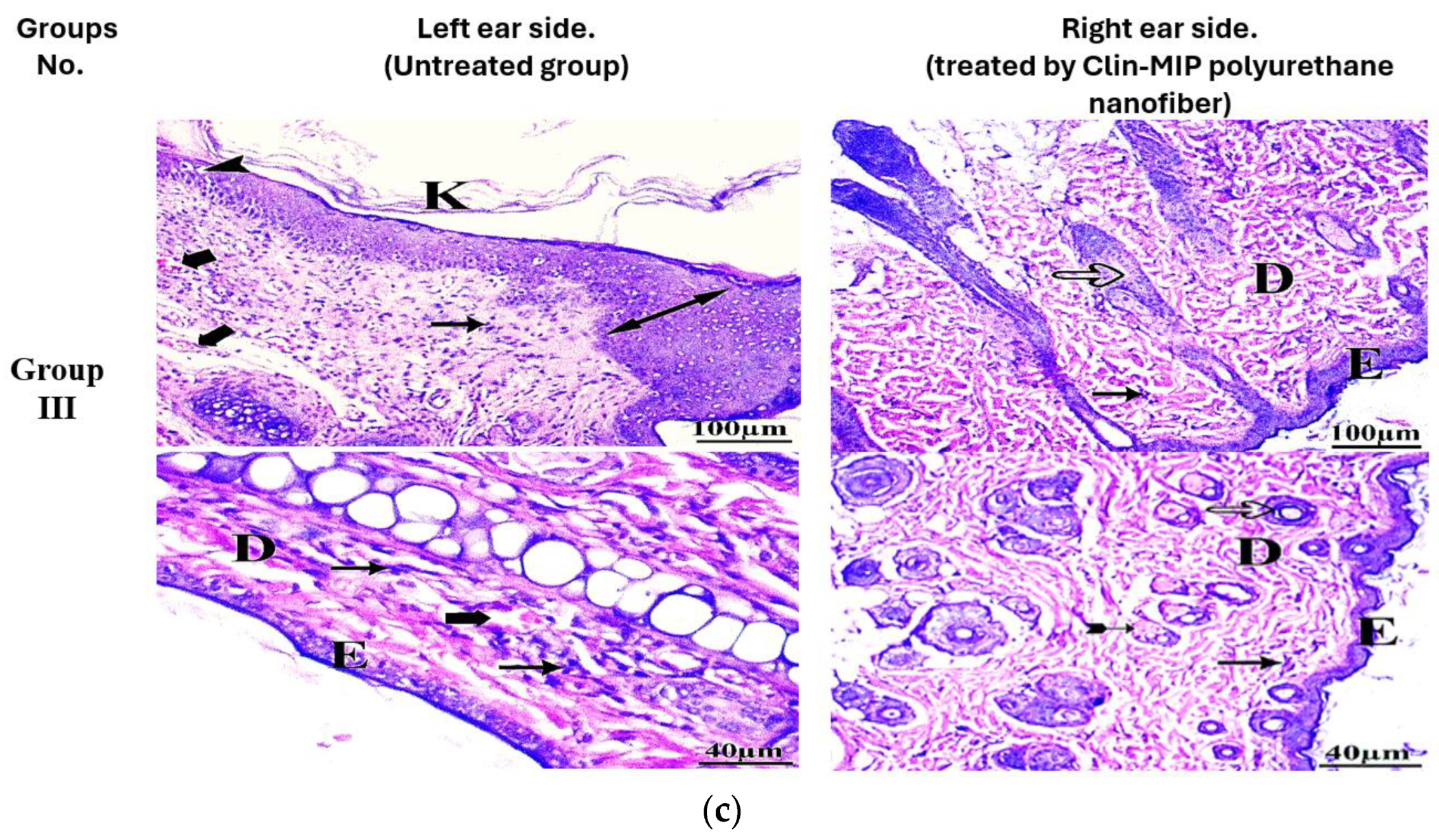Pharmaceutics 16 00947 g011b