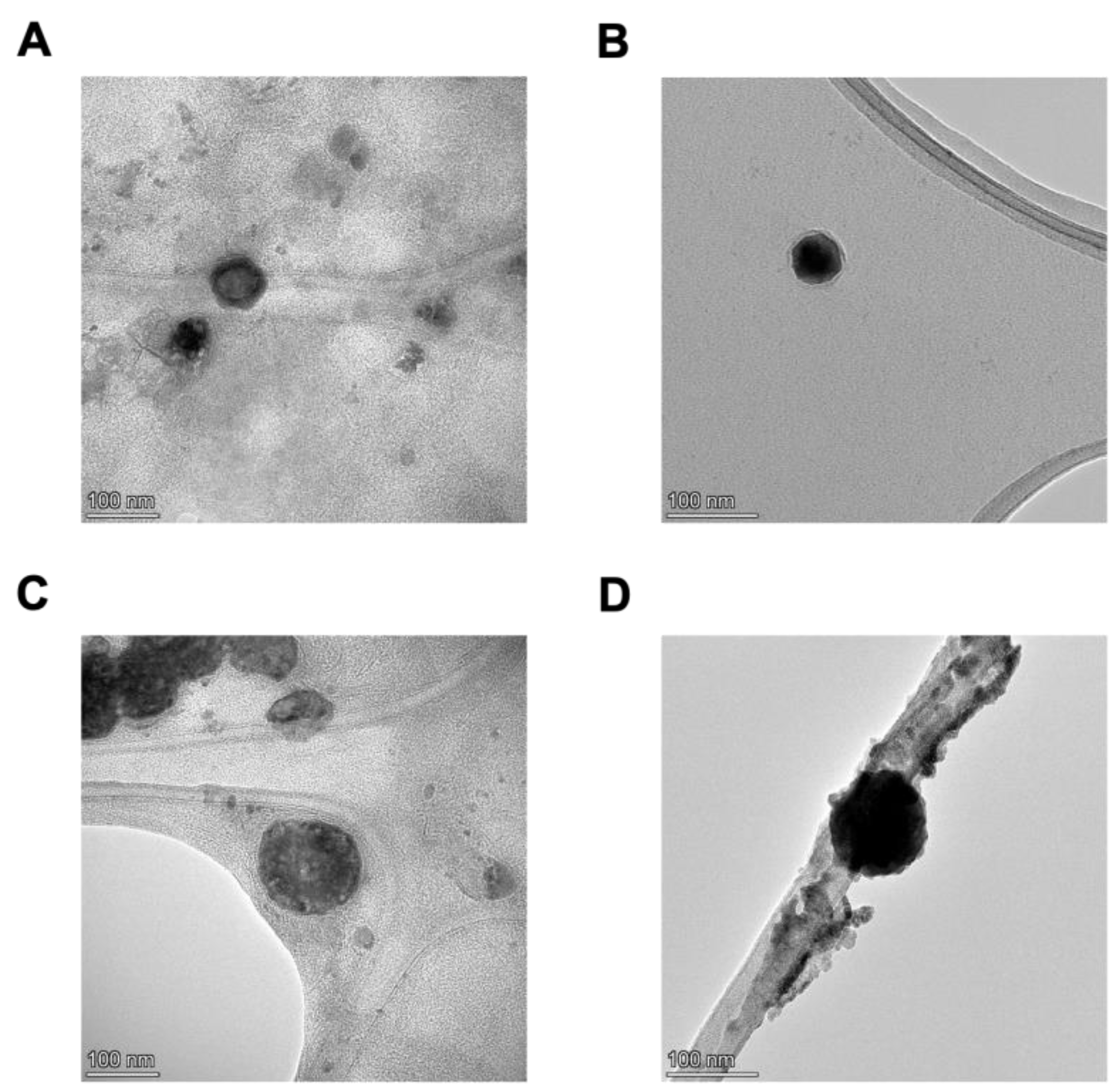 Pharmaceutics 16 00950 g002