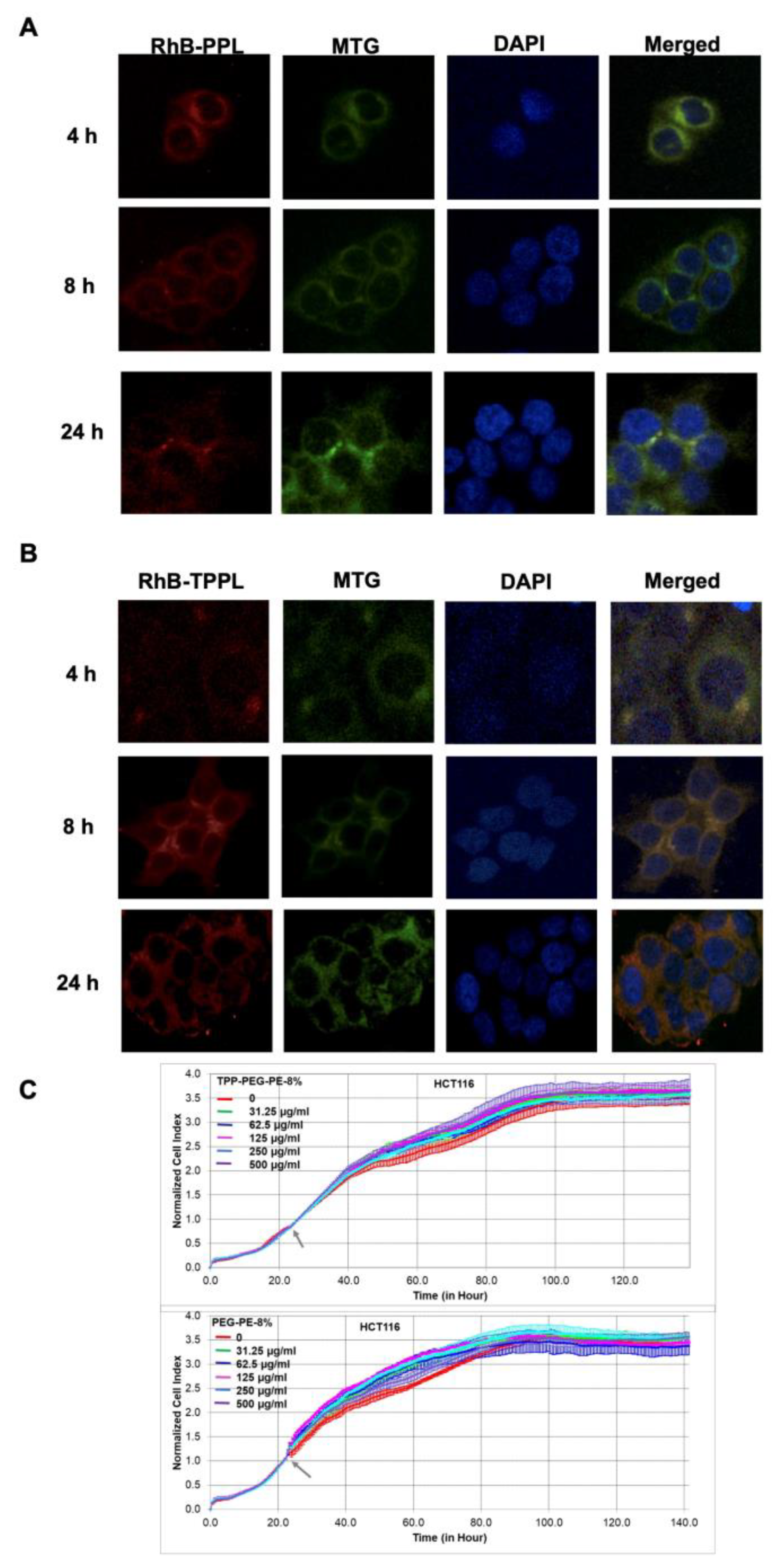 Pharmaceutics 16 00950 g005