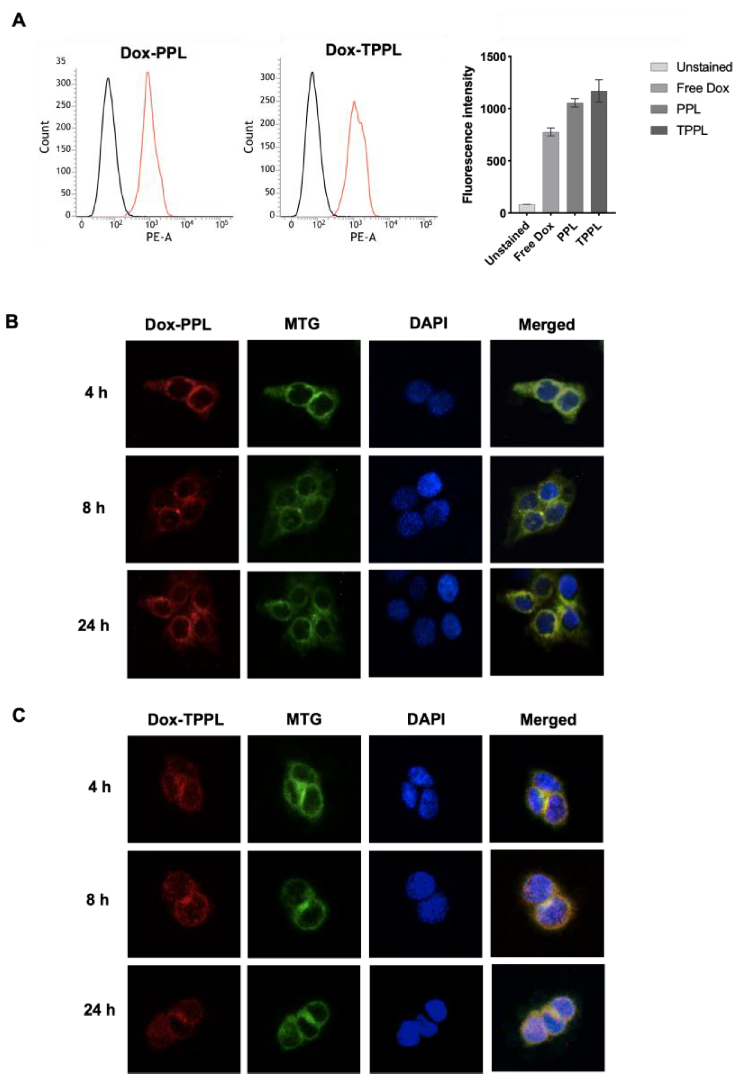 Pharmaceutics 16 00950 g006