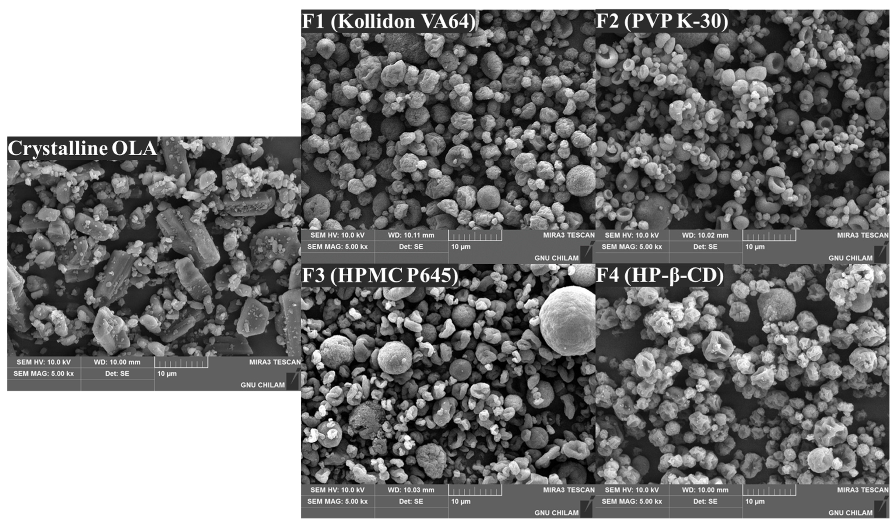 Pharmaceutics 16 00958 g006 Pharmaceutics 16 00958 g006