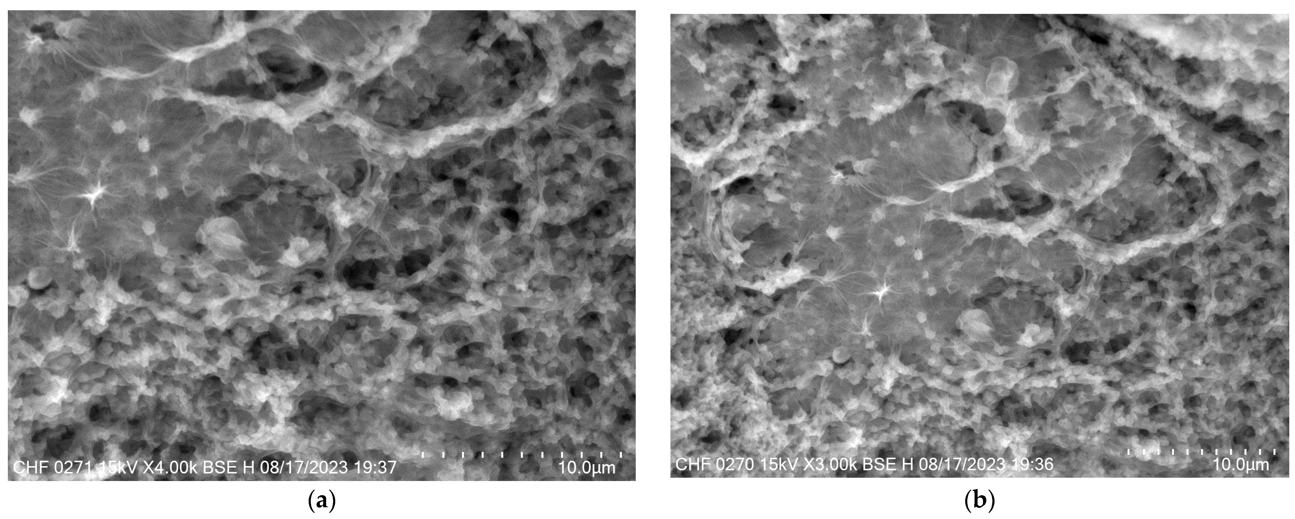 Pharmaceutics 16 00960 g010
