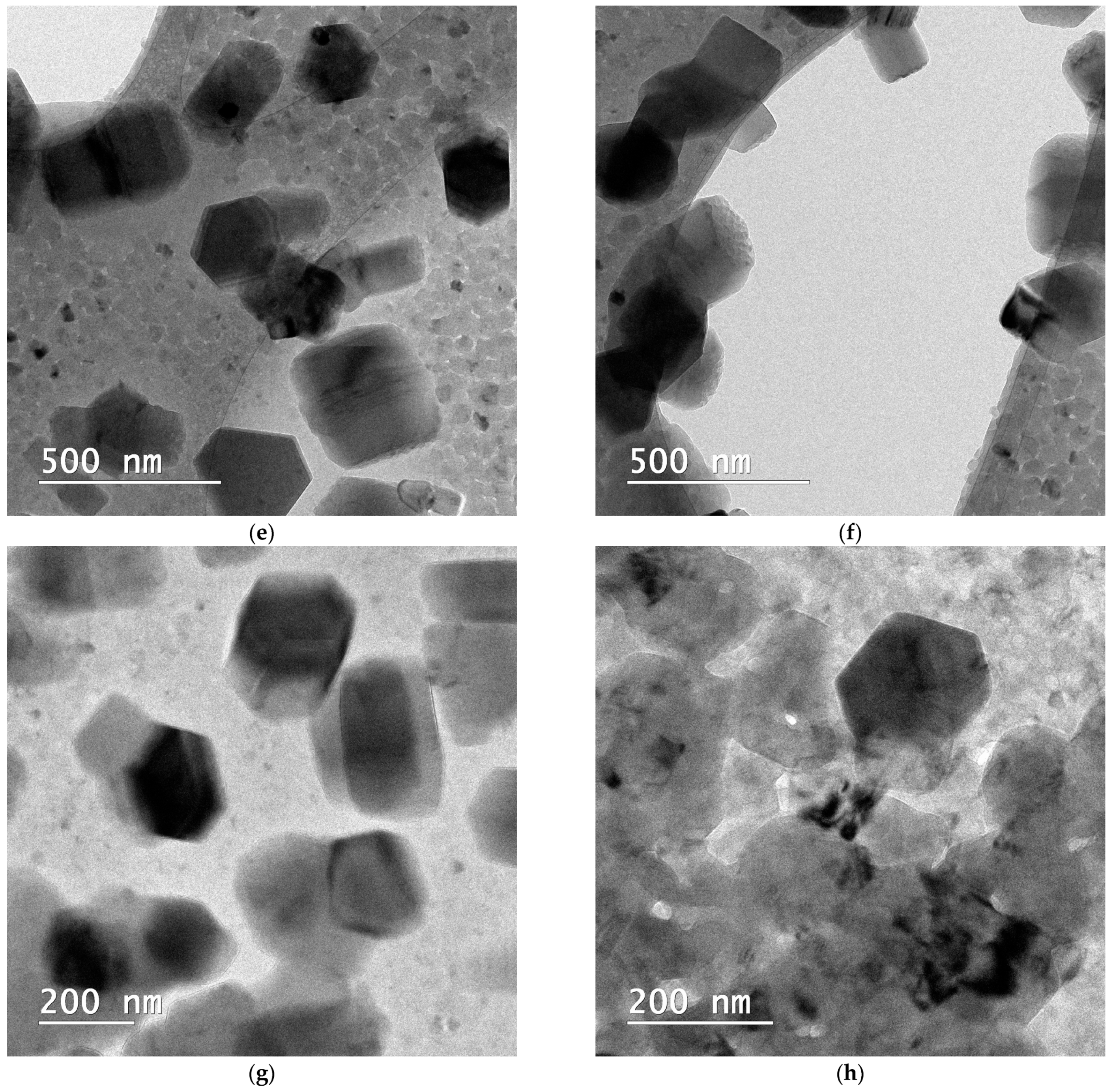 Pharmaceutics 16 00960 g012b