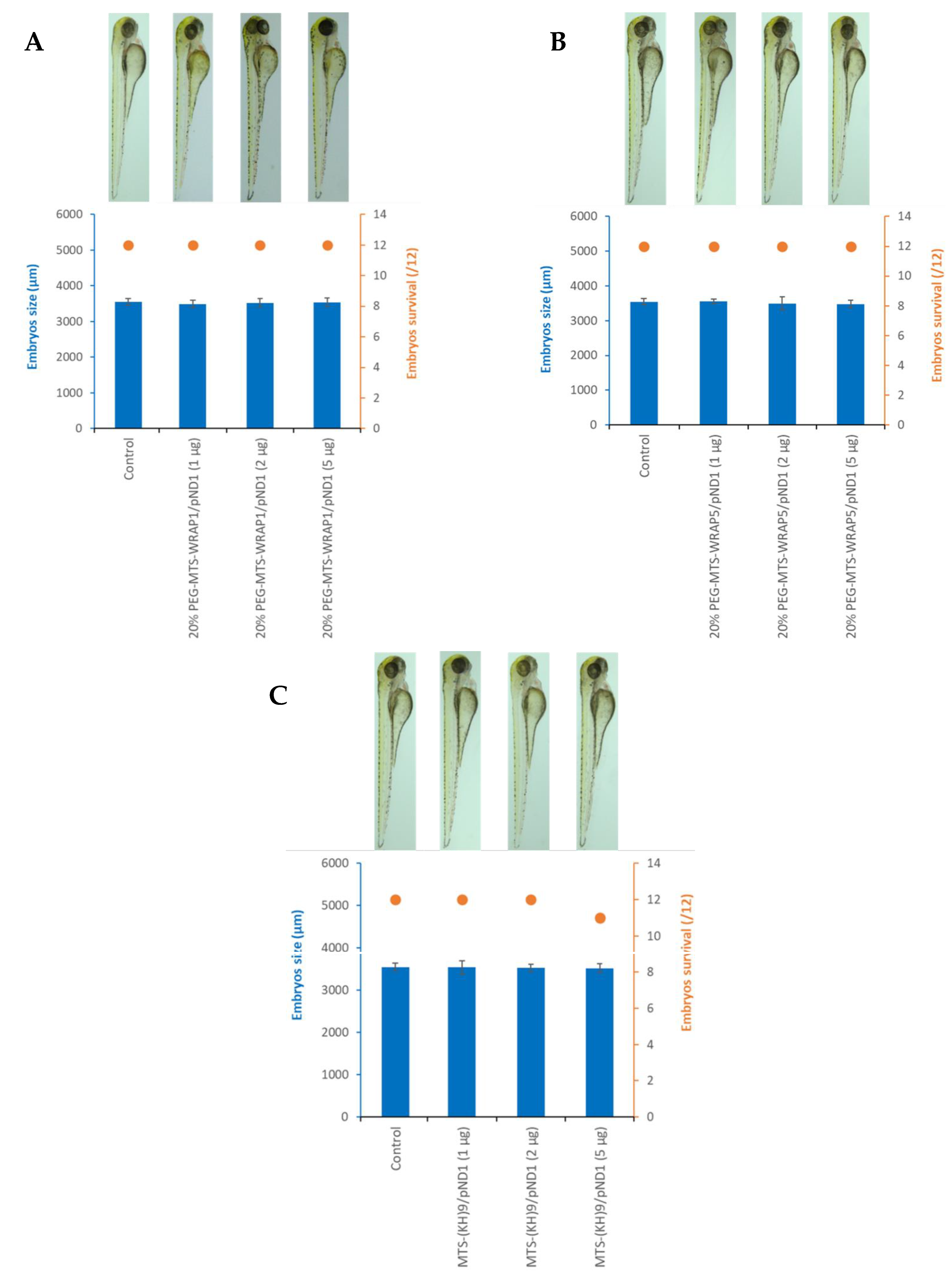 Pharmaceutics 16 00961 g006