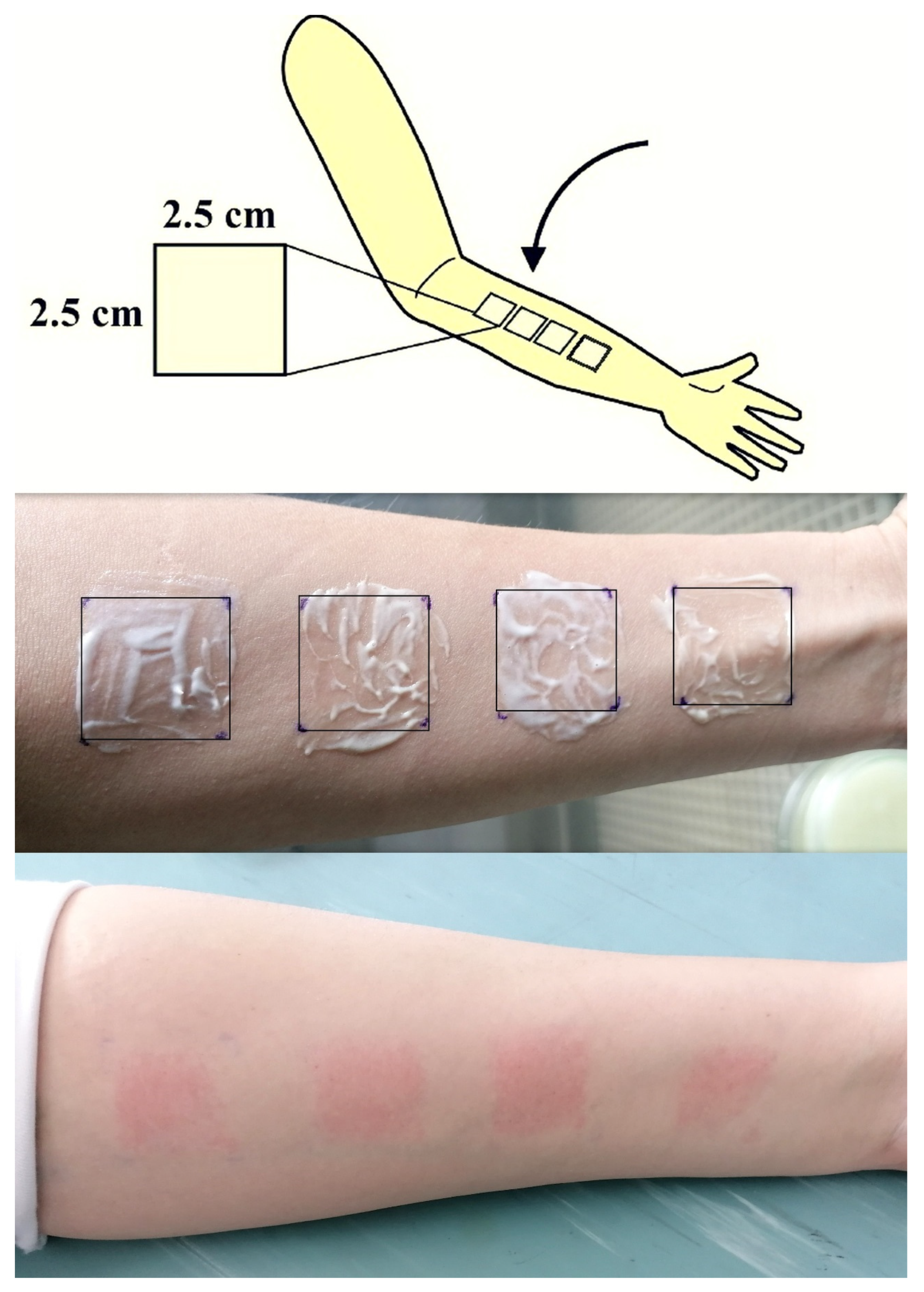 Pharmaceutics 16 00962 g001