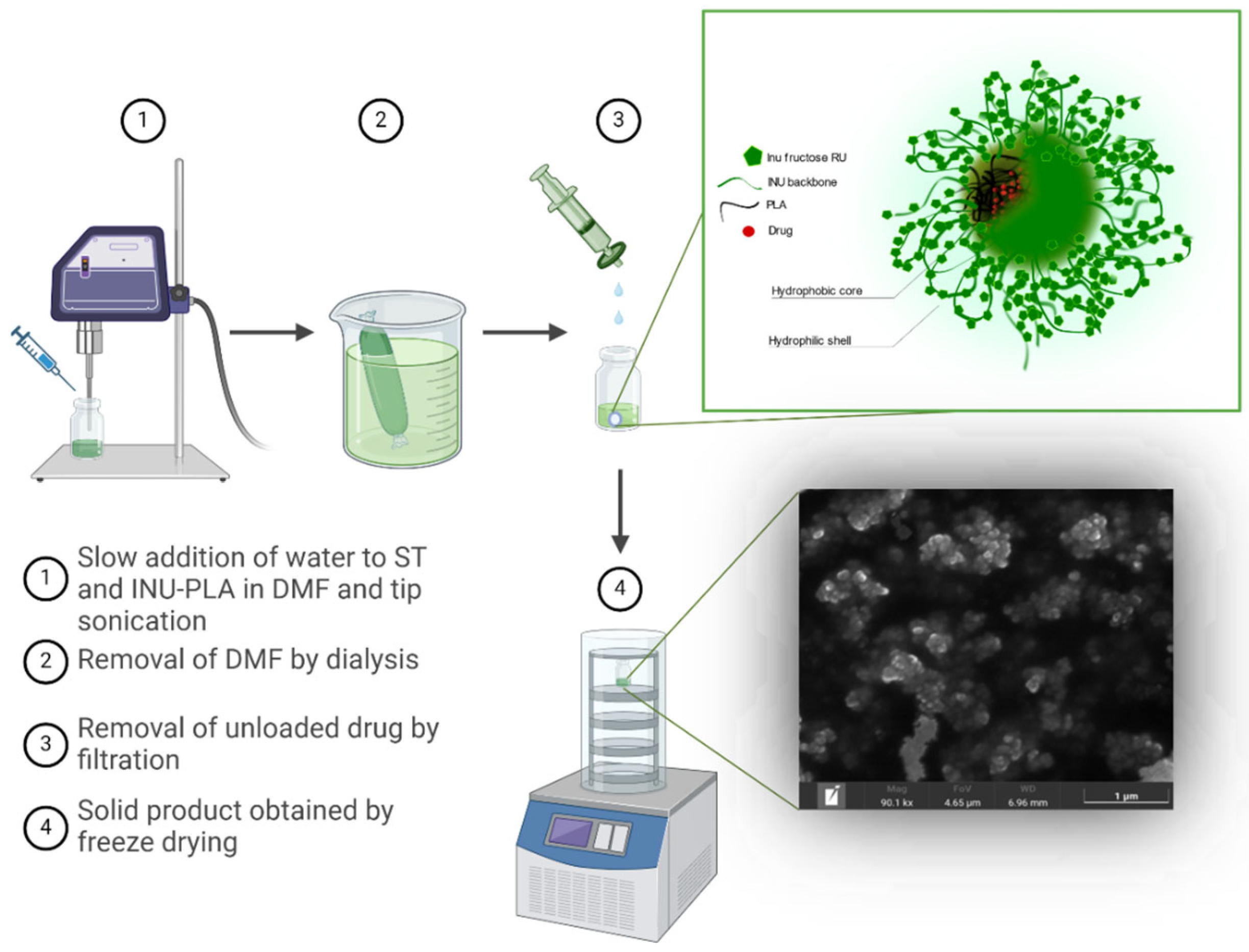 Pharmaceutics 16 00971 g003