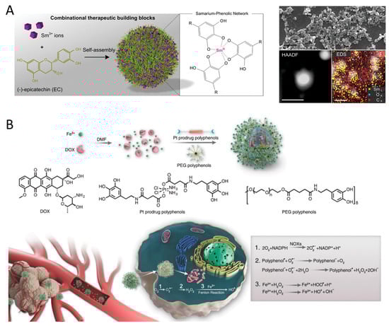 Pharmaceutics 16 00972 g003