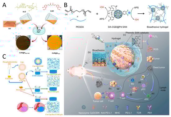 Pharmaceutics 16 00972 g005