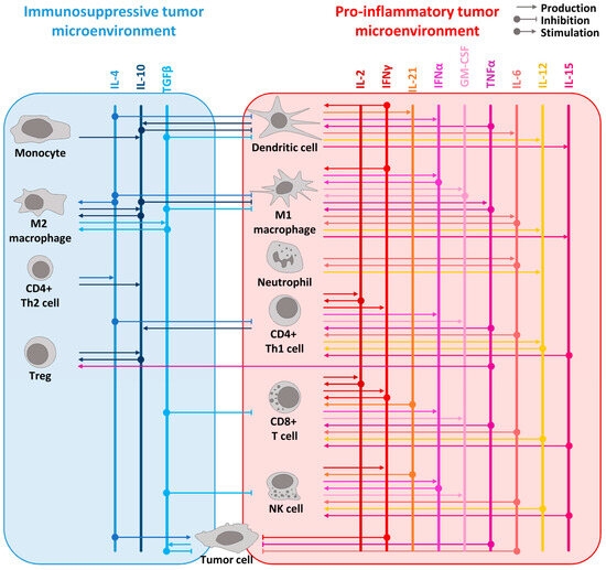 Pharmaceutics 16 00974 g001