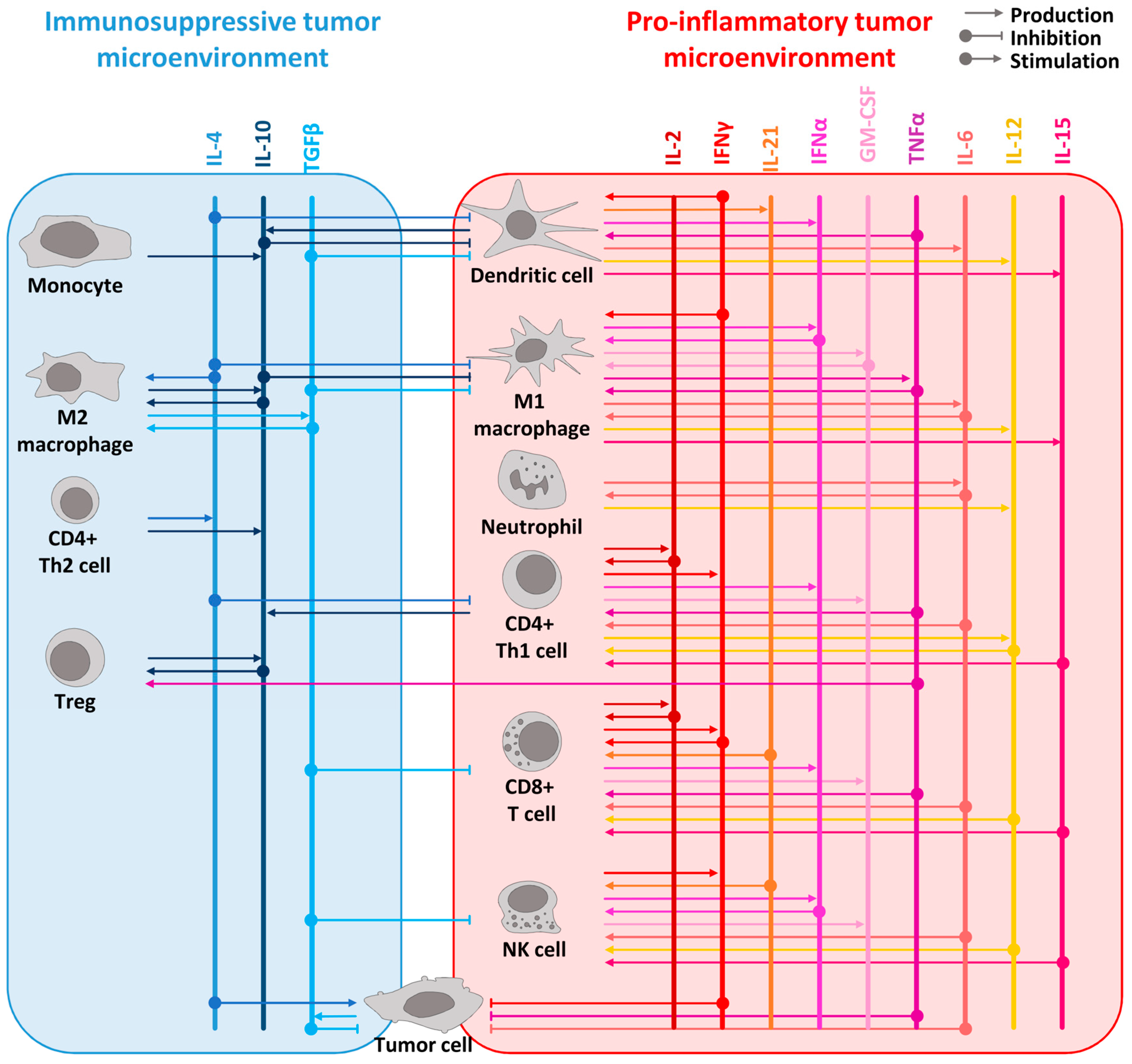 Pharmaceutics 16 00974 g001