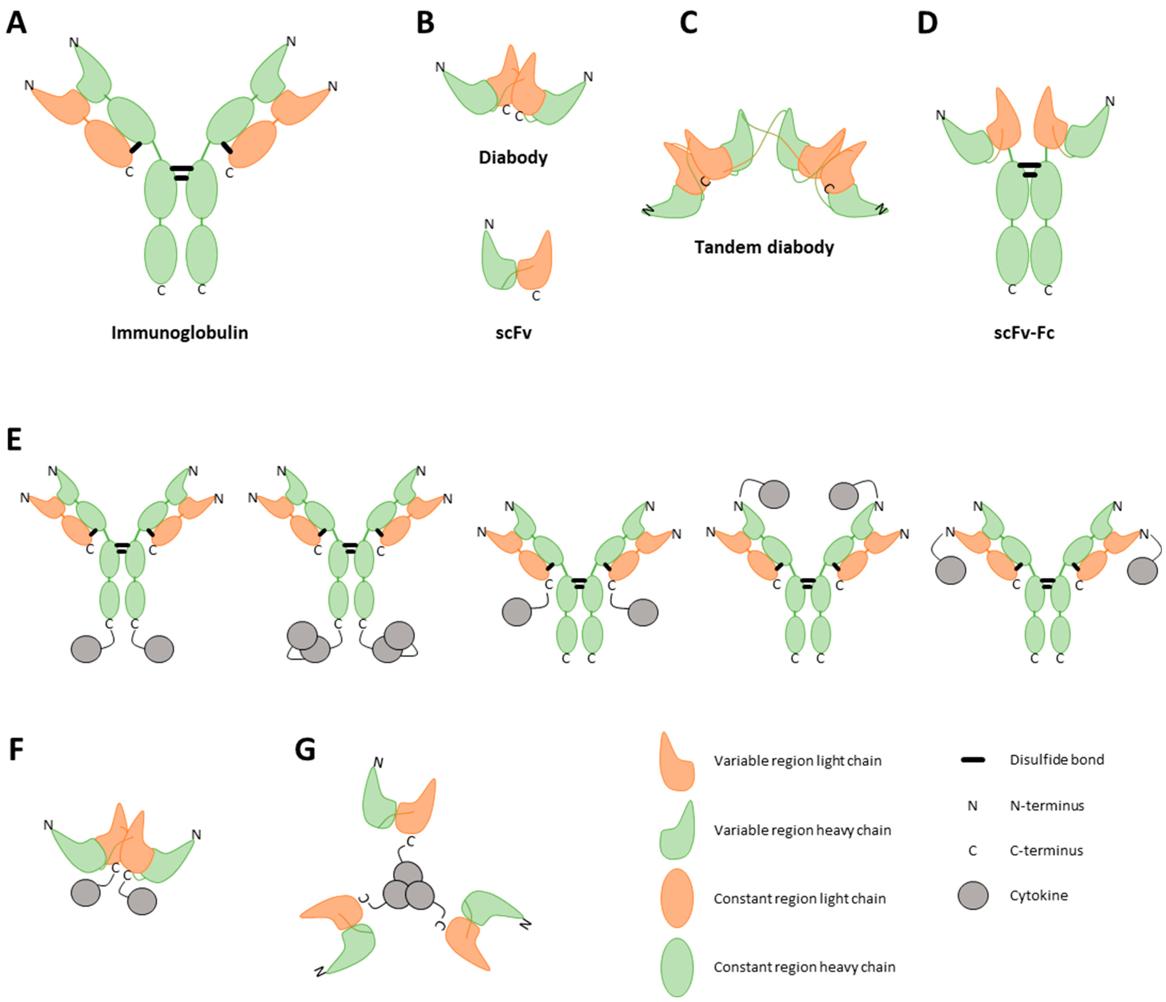 Pharmaceutics 16 00974 g002