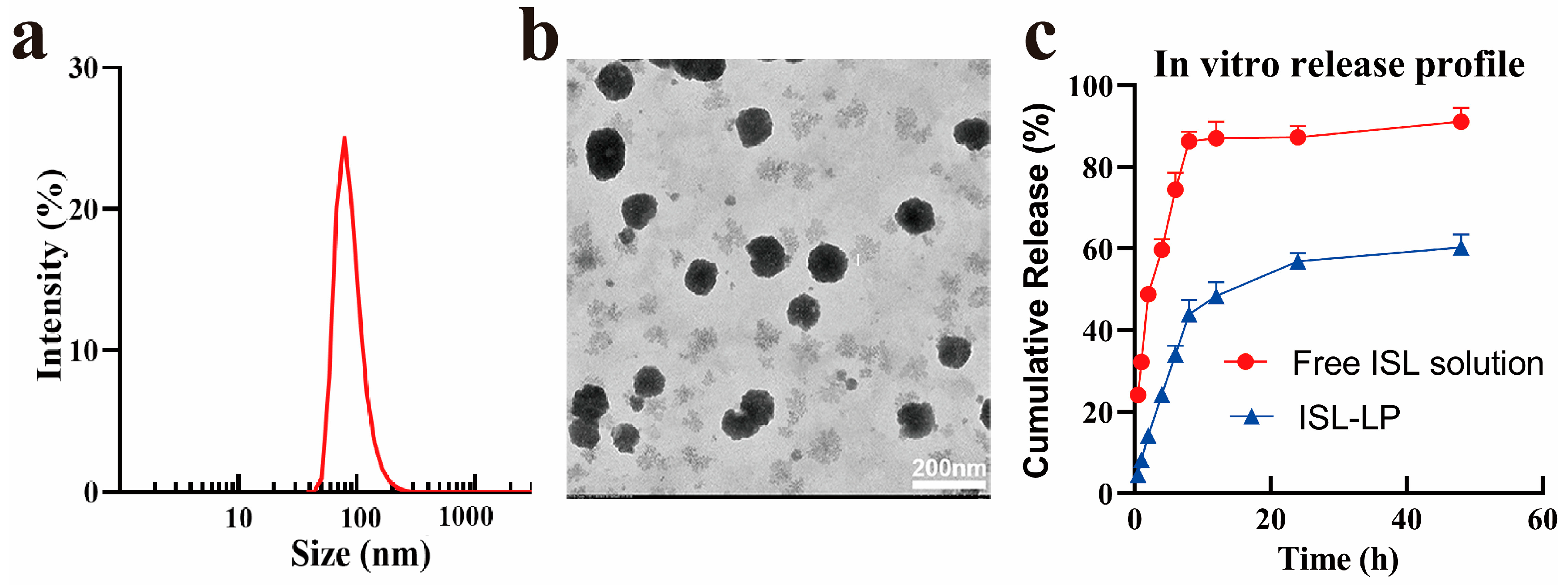 Pharmaceutics 16 00975 g002