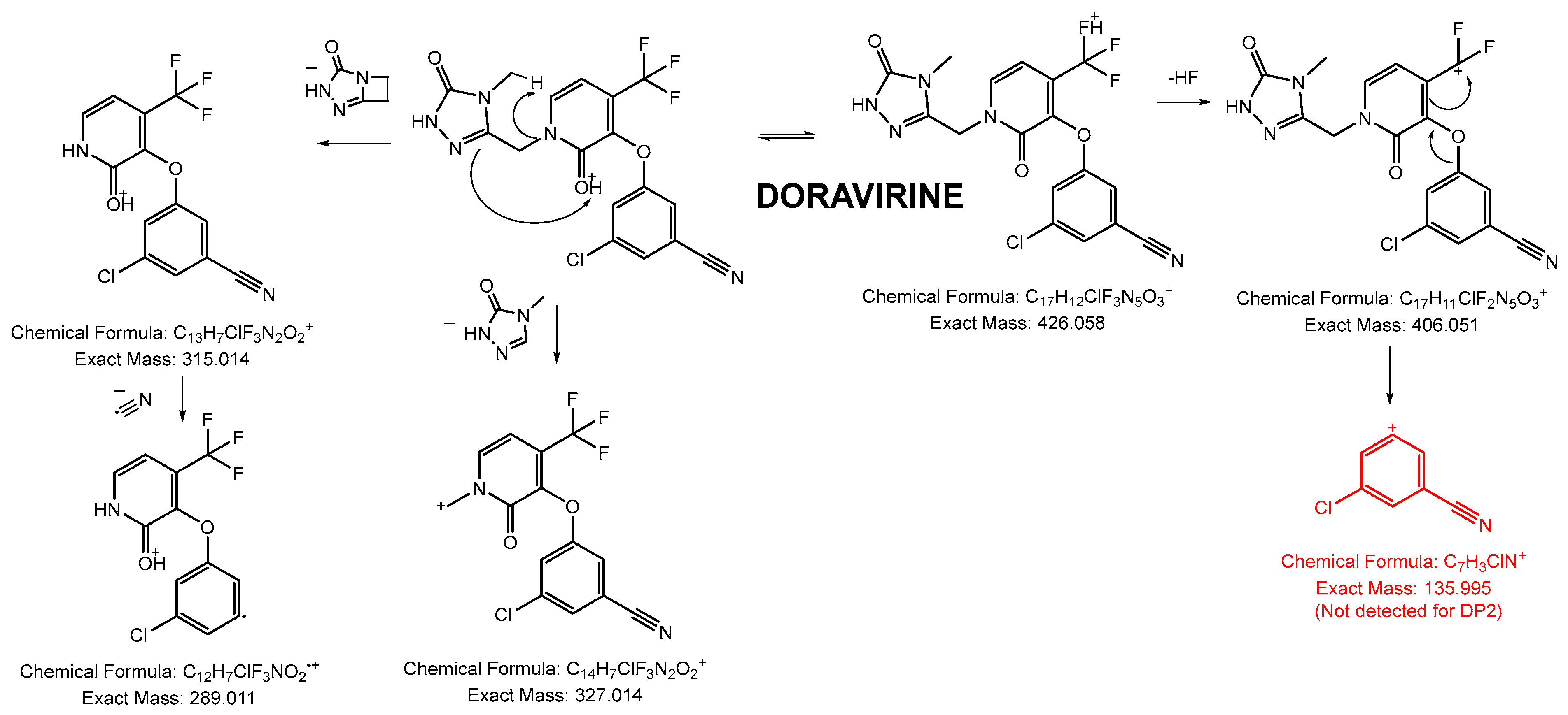 Pharmaceutics 16 00977 g003 Pharmaceutics 16 00977 g003