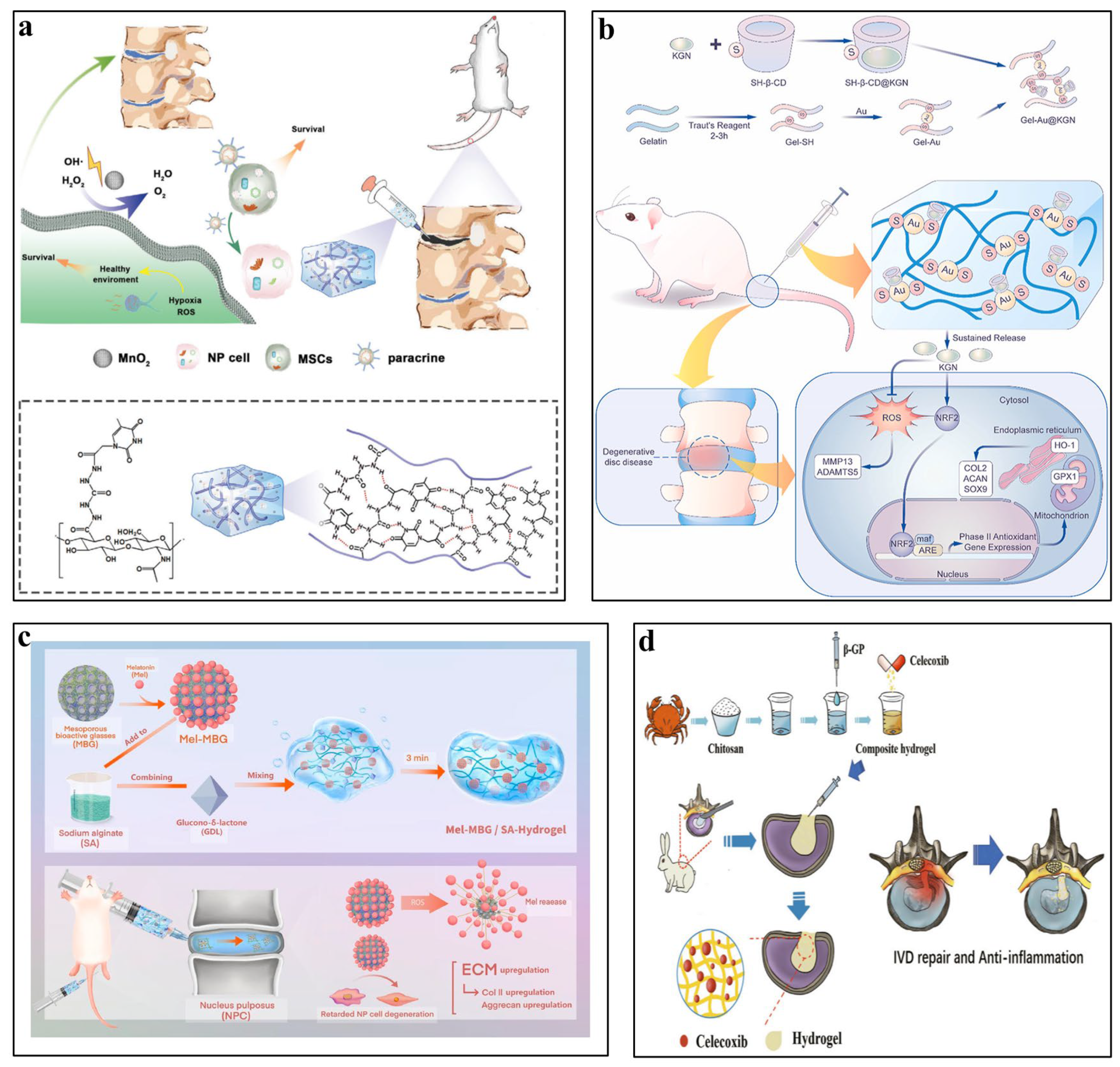 Pharmaceutics 16 00979 g002 Pharmaceutics 16 00979 g002