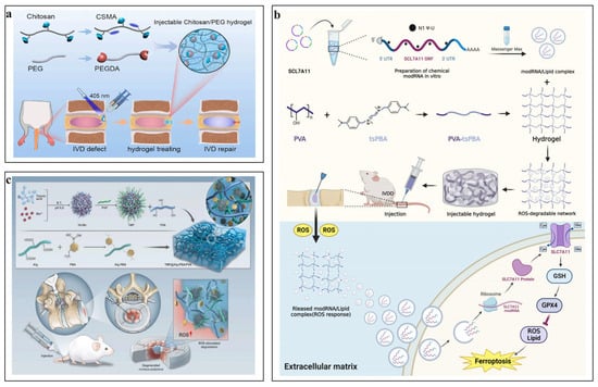 Pharmaceutics 16 00979 g003