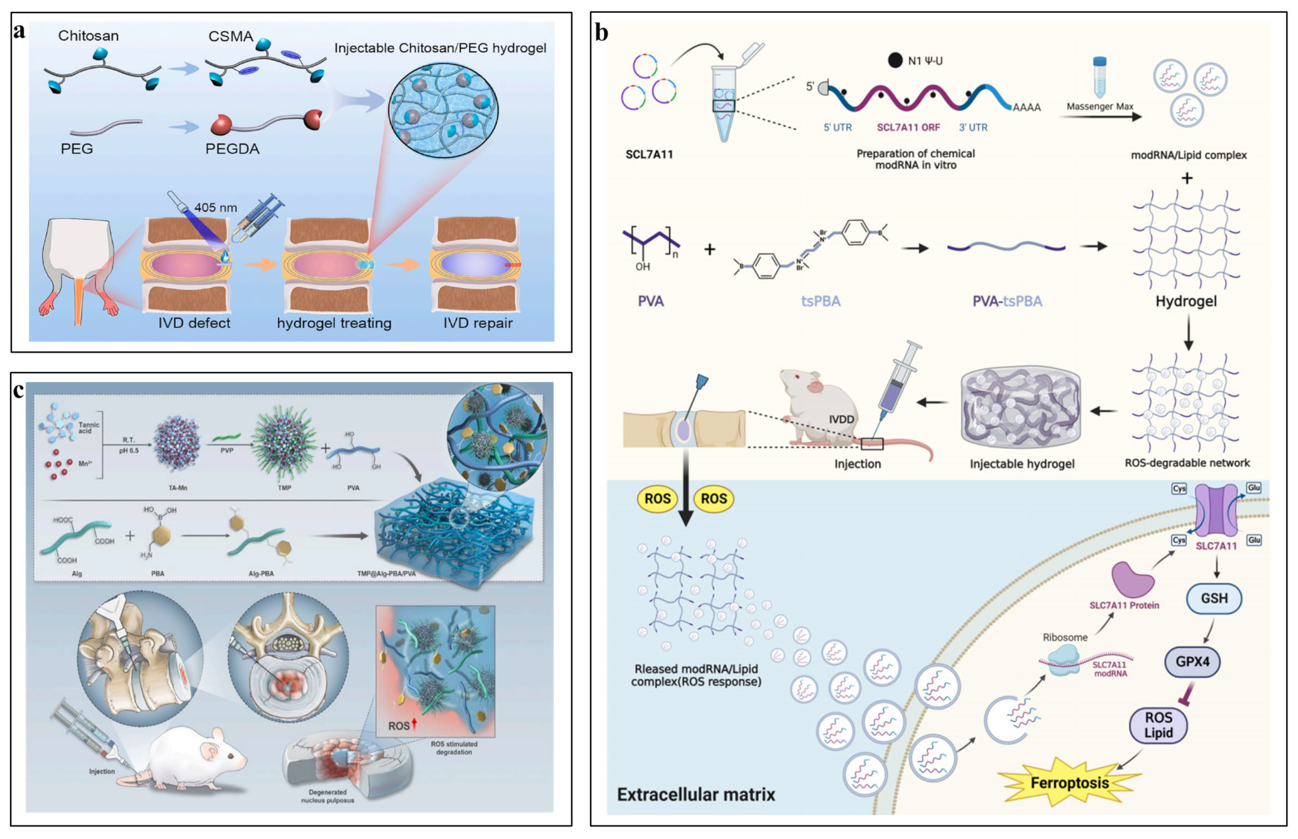 Pharmaceutics 16 00979 g003 Pharmaceutics 16 00979 g003