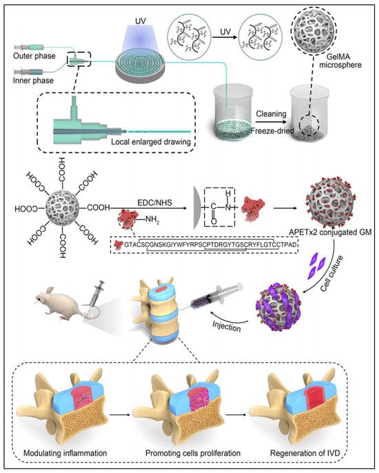 Pharmaceutics 16 00979 g004