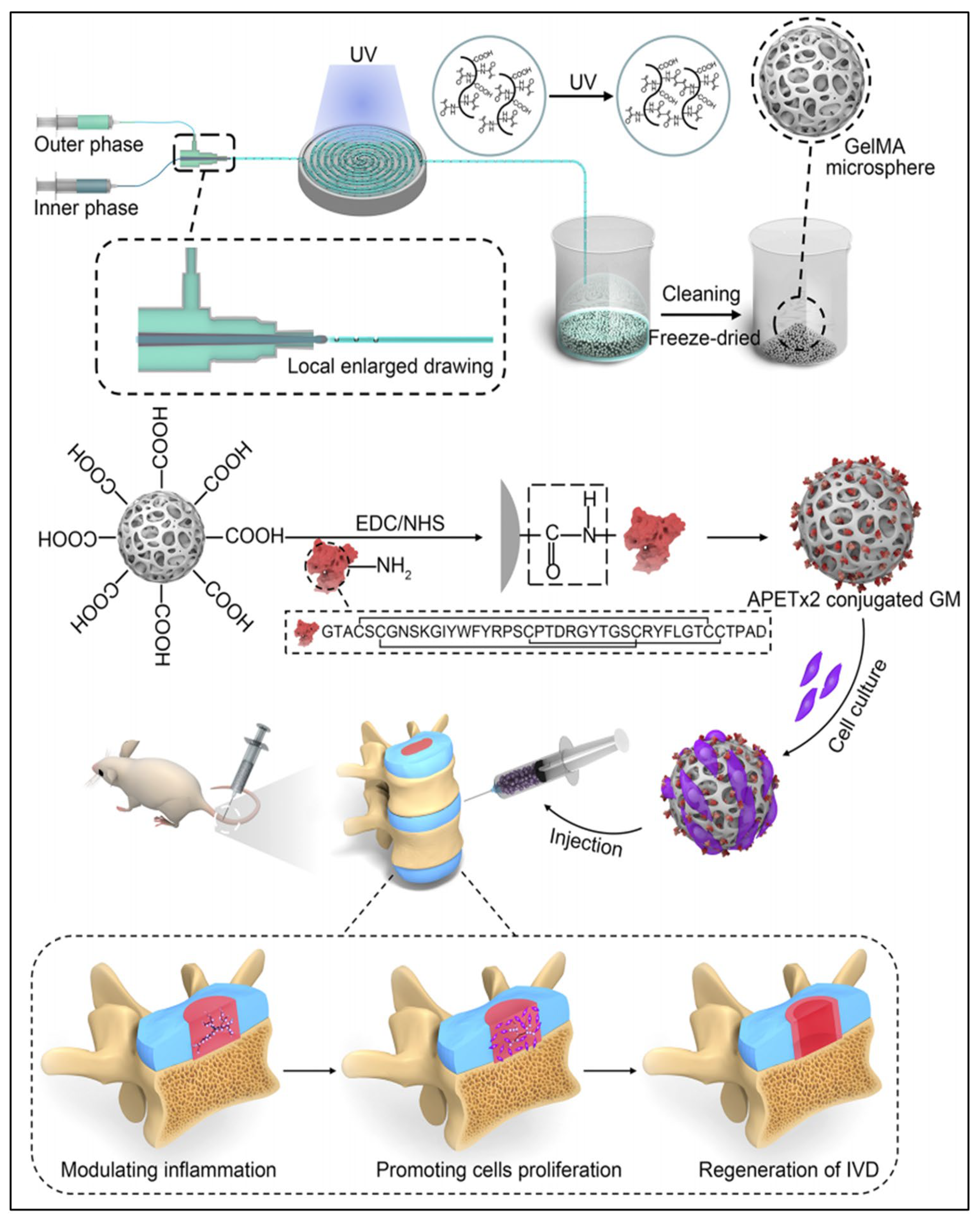 Pharmaceutics 16 00979 g004 Pharmaceutics 16 00979 g004