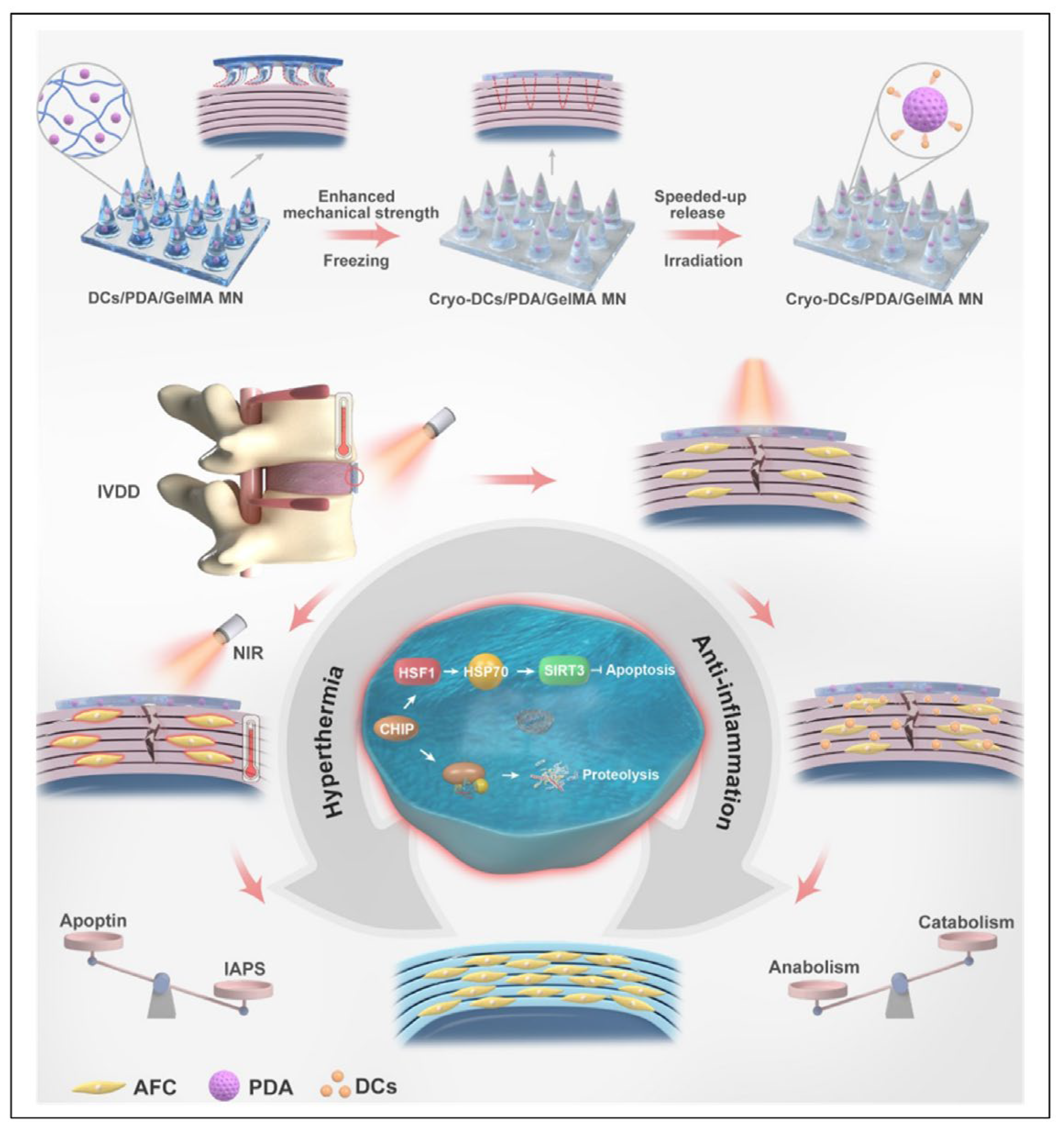 Pharmaceutics 16 00979 g005 Pharmaceutics 16 00979 g005