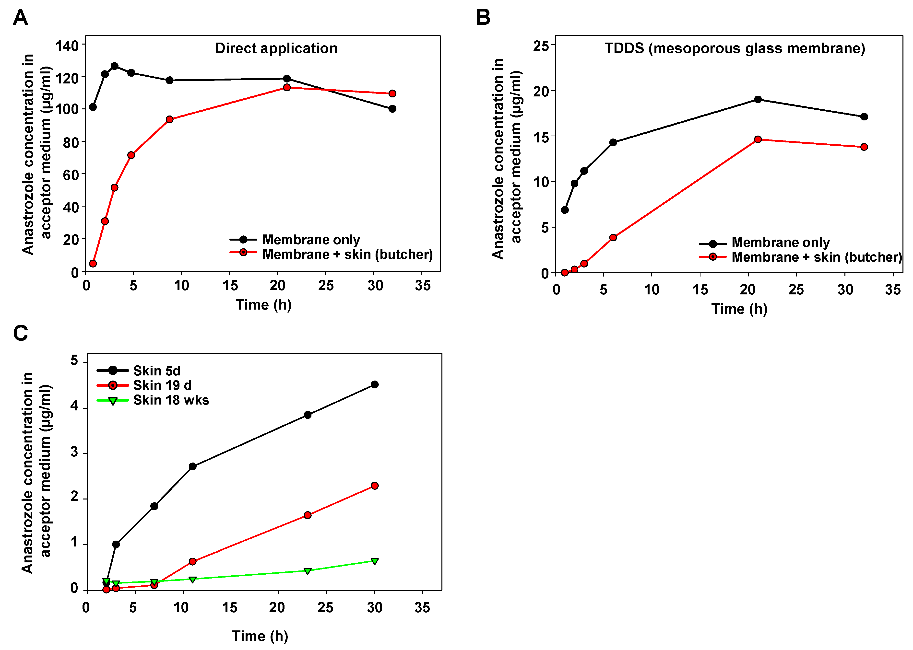 Pharmaceutics 16 00995 g002