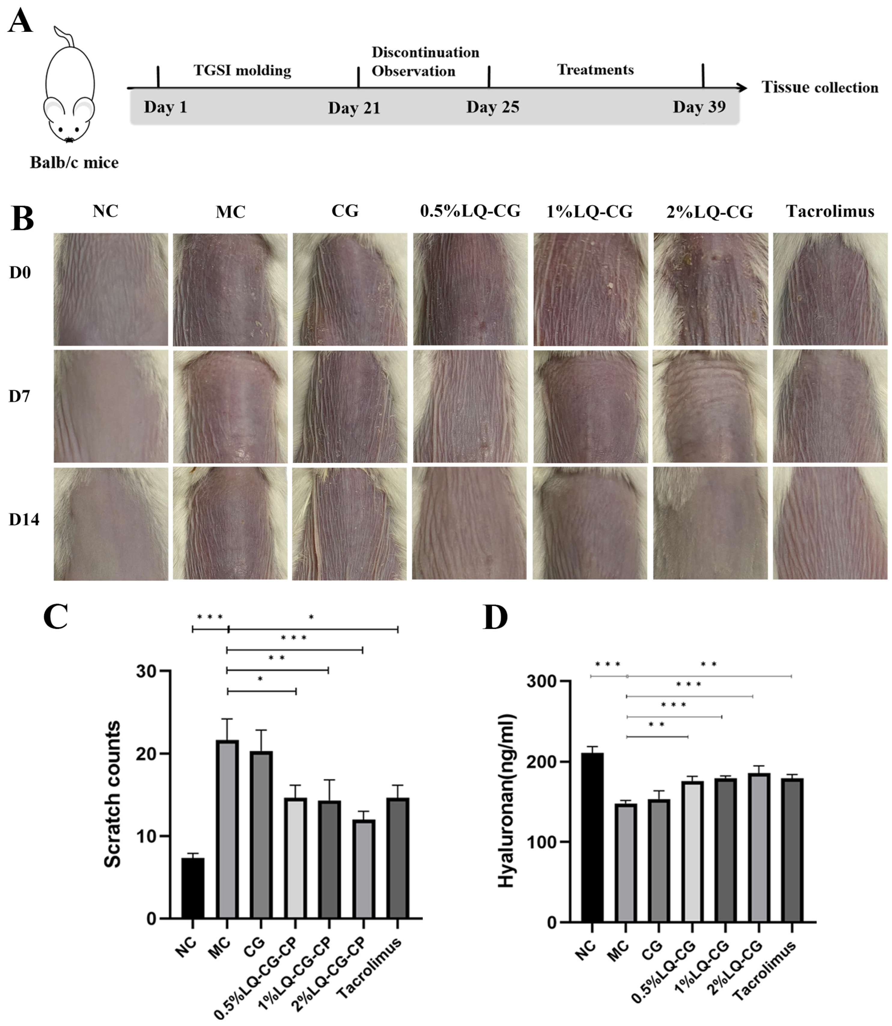 Pharmaceutics 16 01001 g001