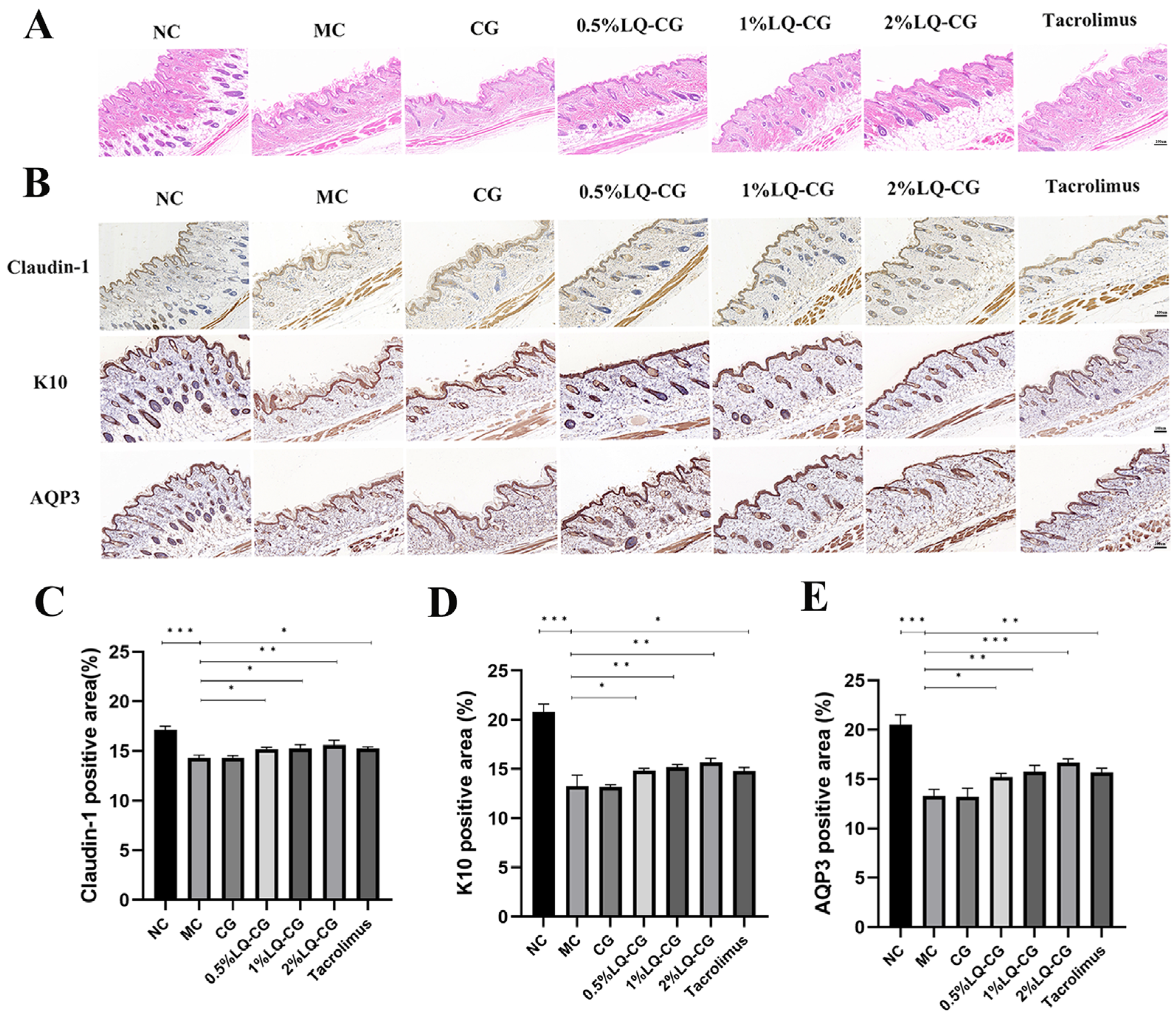Pharmaceutics 16 01001 g002