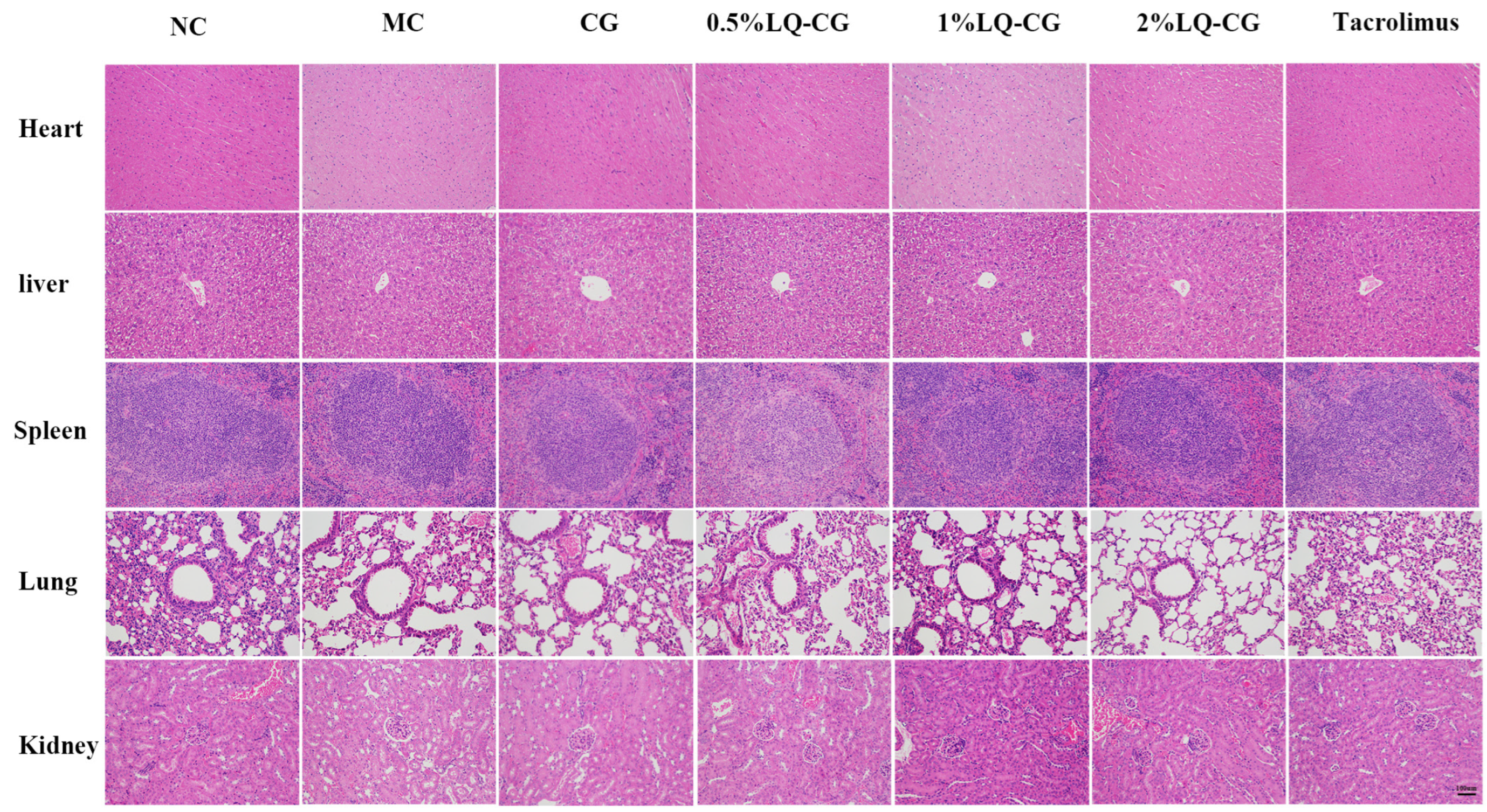 Pharmaceutics 16 01001 g005