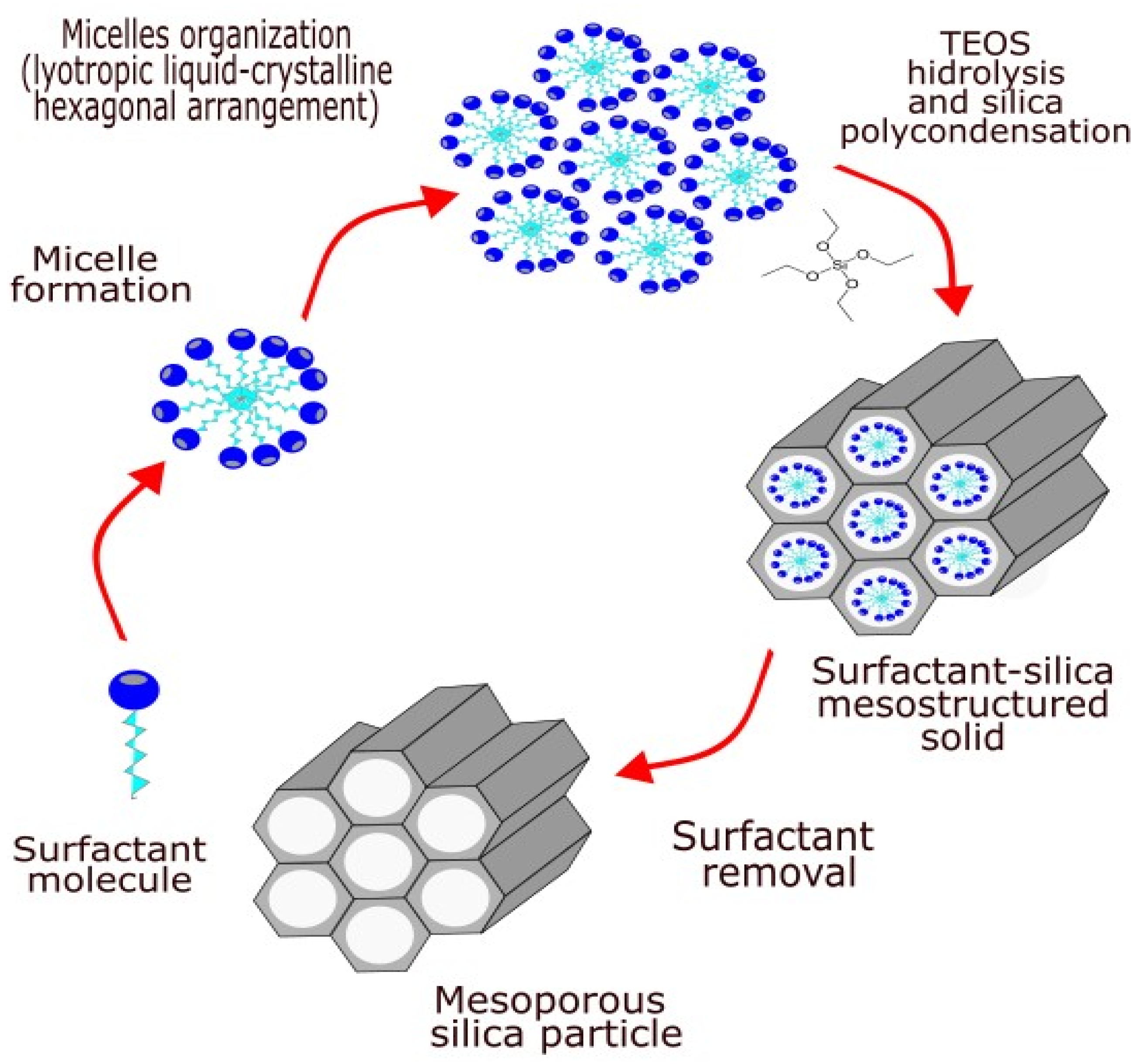 Pharmaceutics 16 01004 g001 Pharmaceutics 16 01004 g001