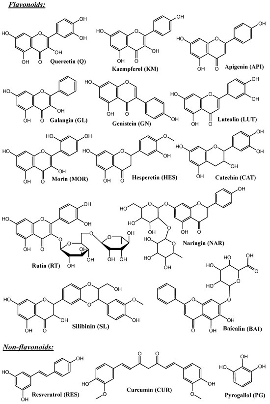 Pharmaceutics 16 01004 g003a Pharmaceutics 16 01004 g003a