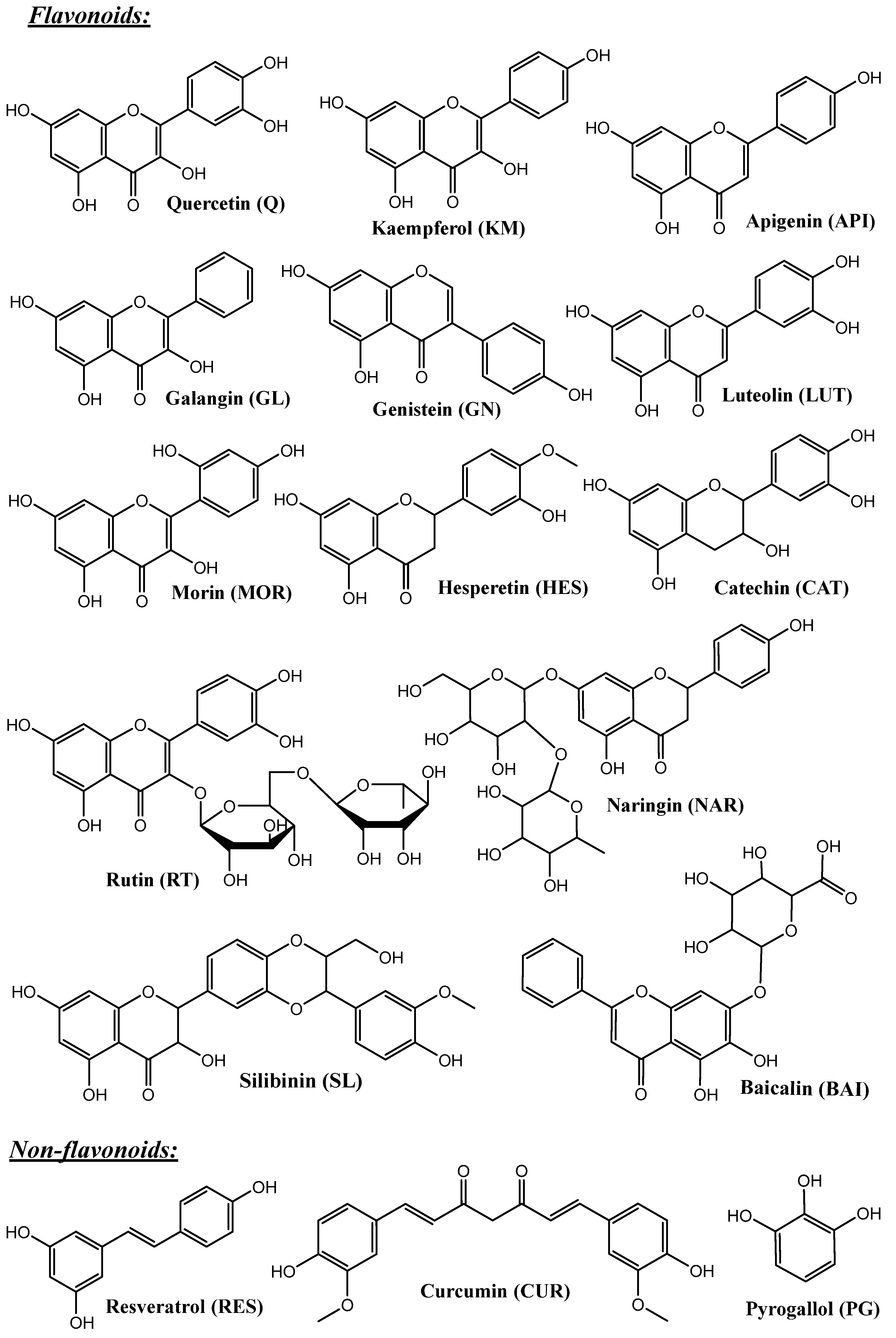Pharmaceutics 16 01004 g003a Pharmaceutics 16 01004 g003a